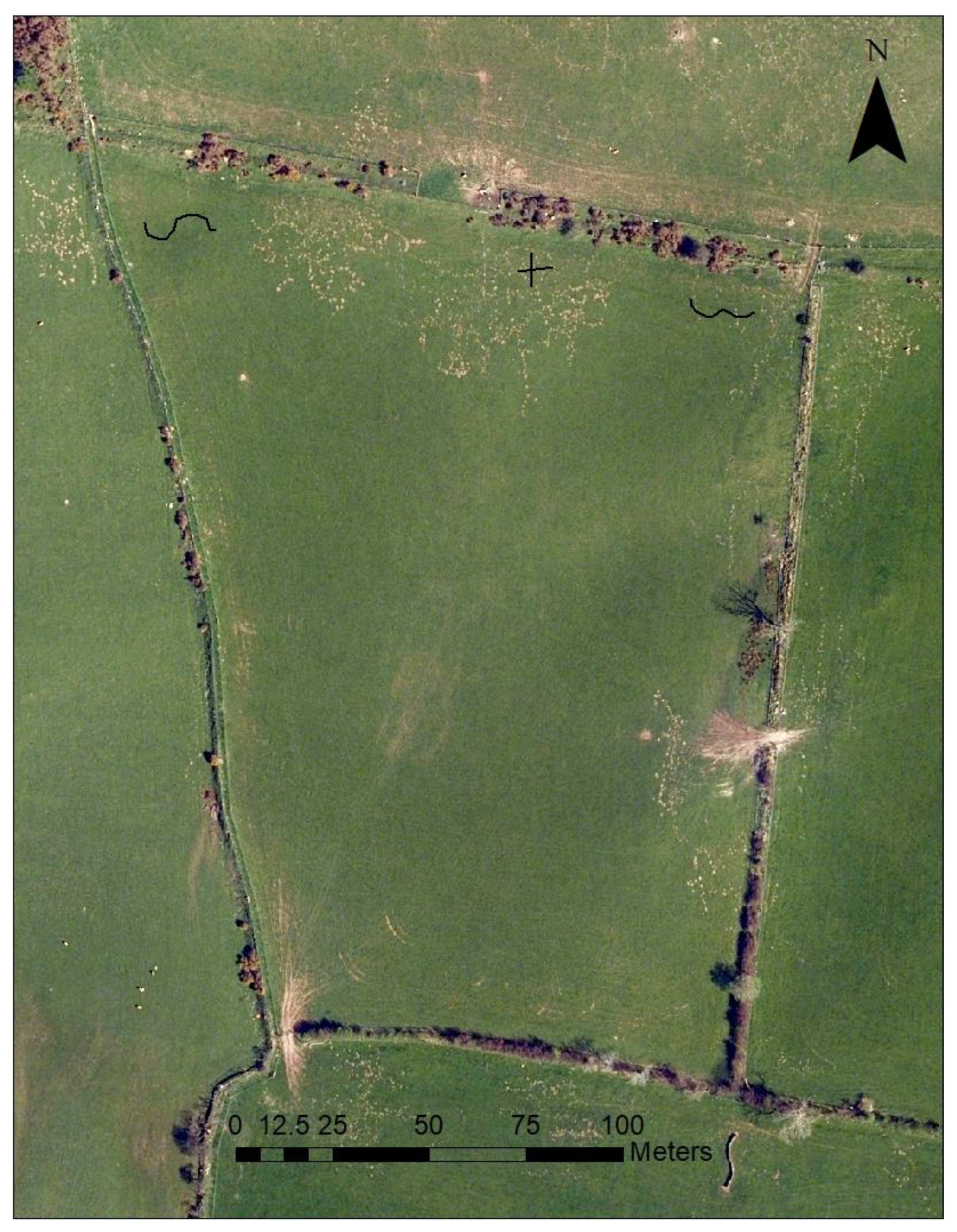 Forests 13 02133 g001