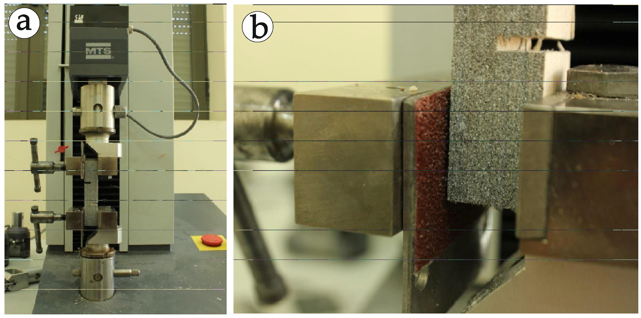 Forests 13 02135 g003