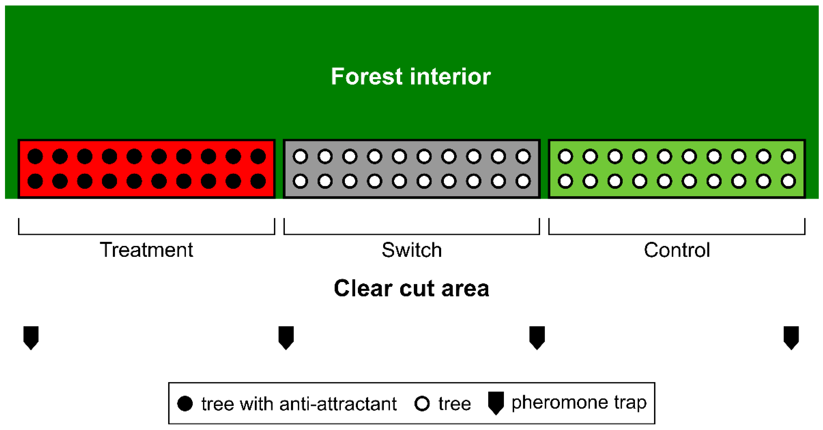 Forests 13 02175 g001 Forests 13 02175 g001