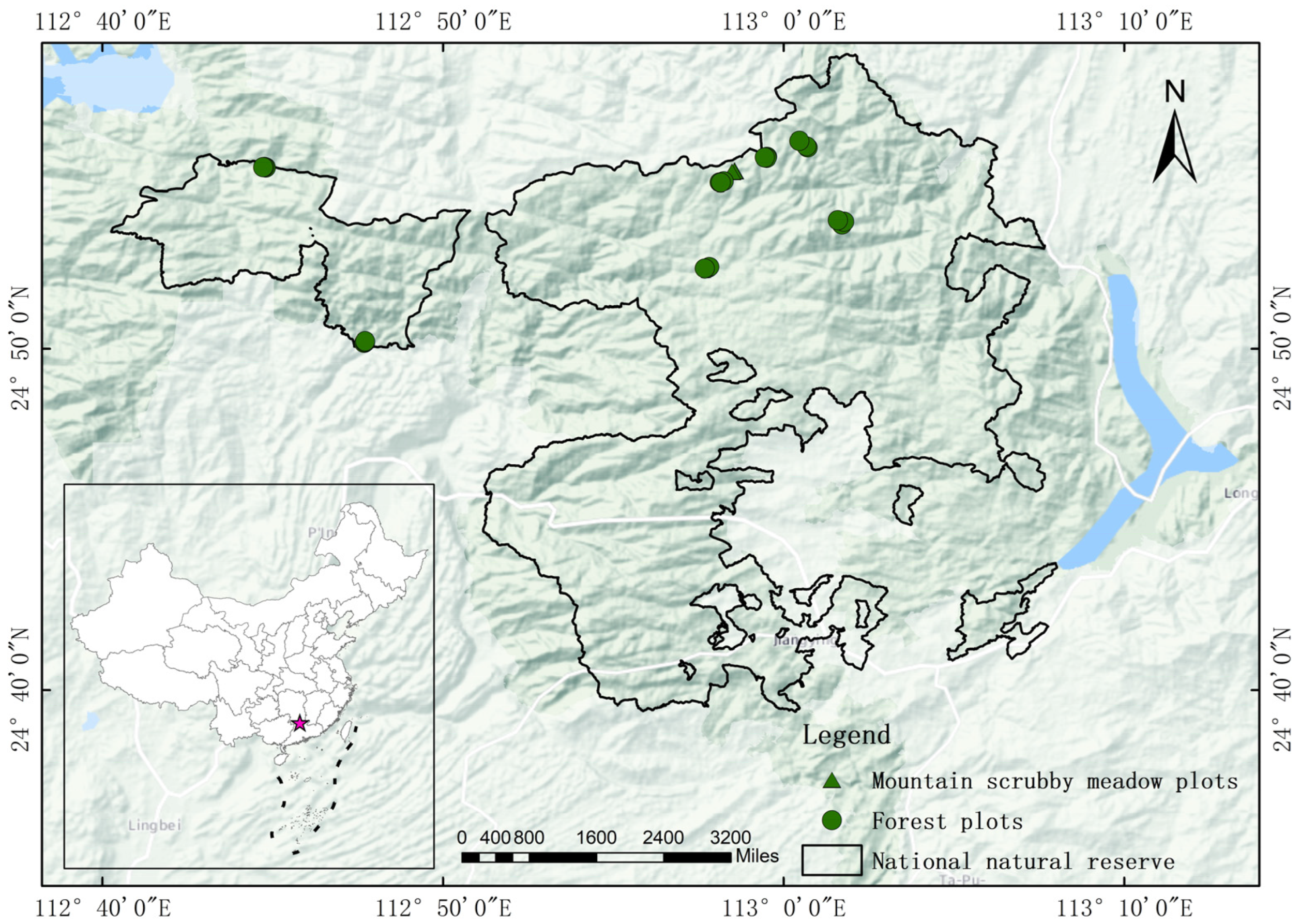 Forests 13 02184 g001