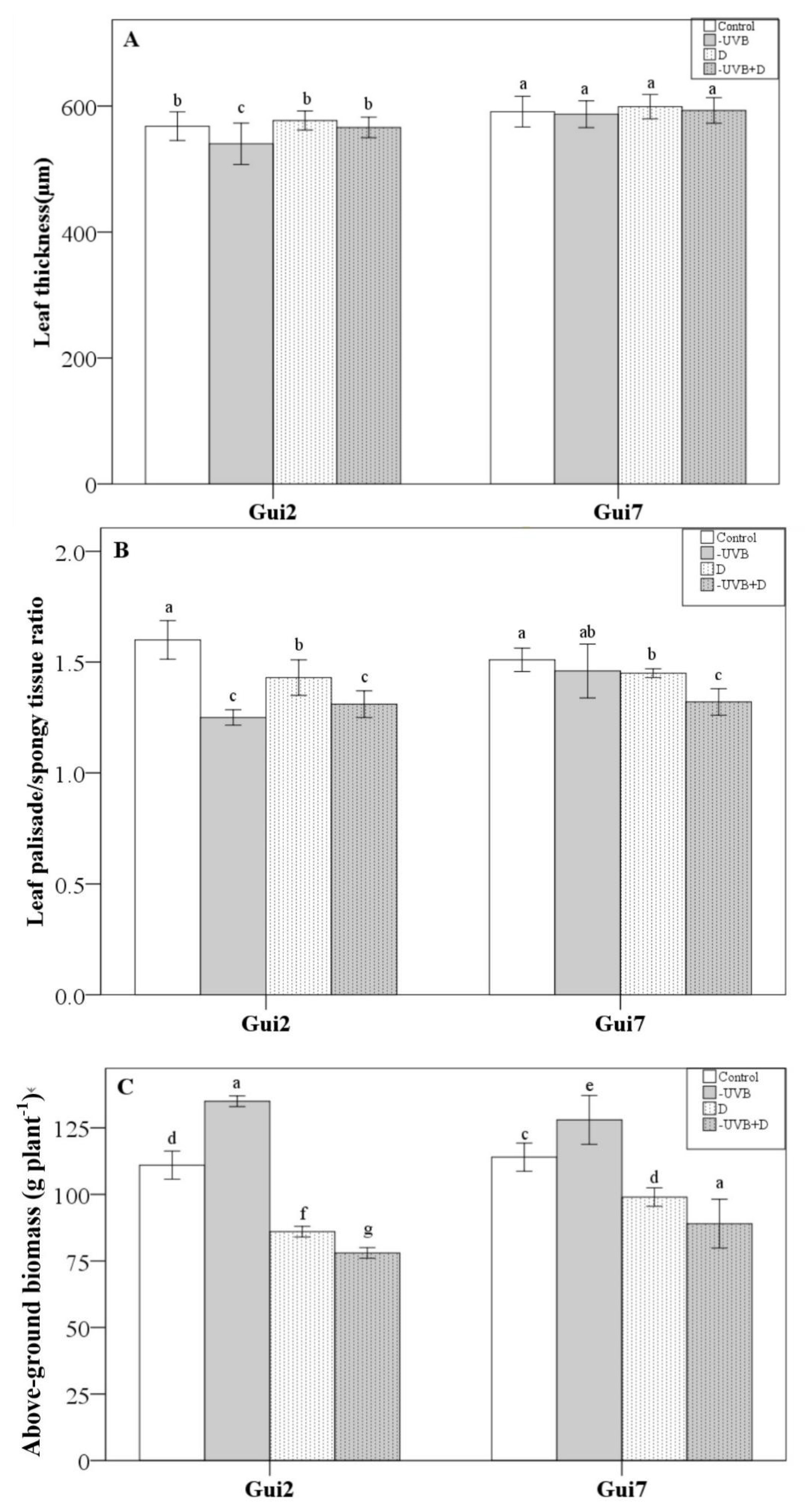 Forests 14 00050 g001 Forests 14 00050 g001