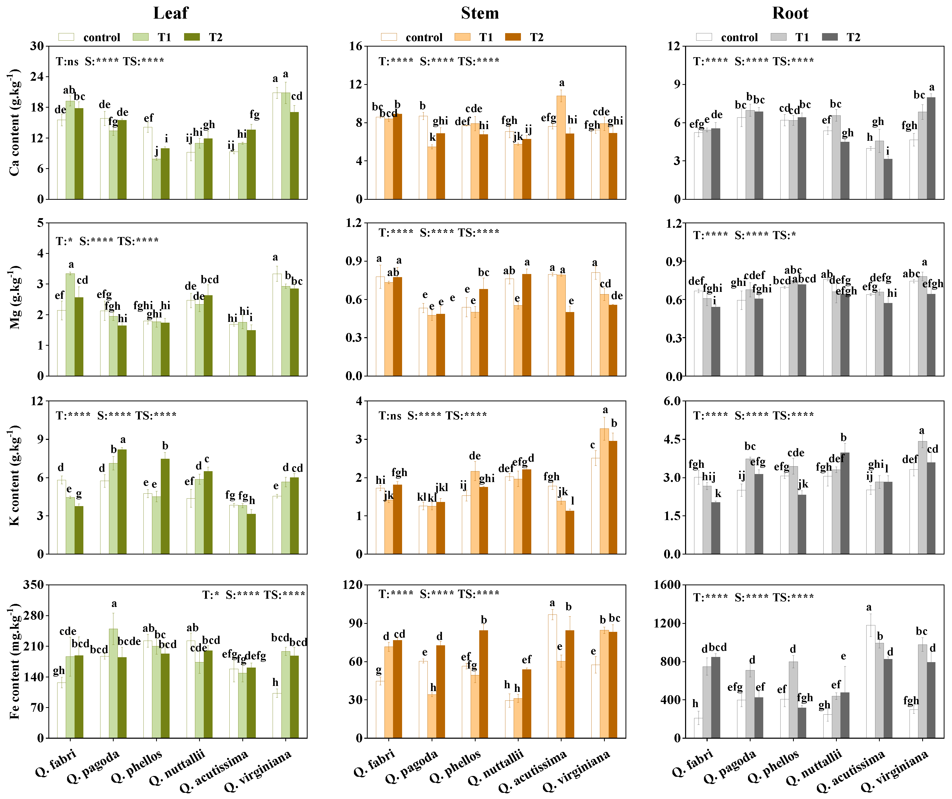 Forests 14 00062 g002 Forests 14 00062 g002