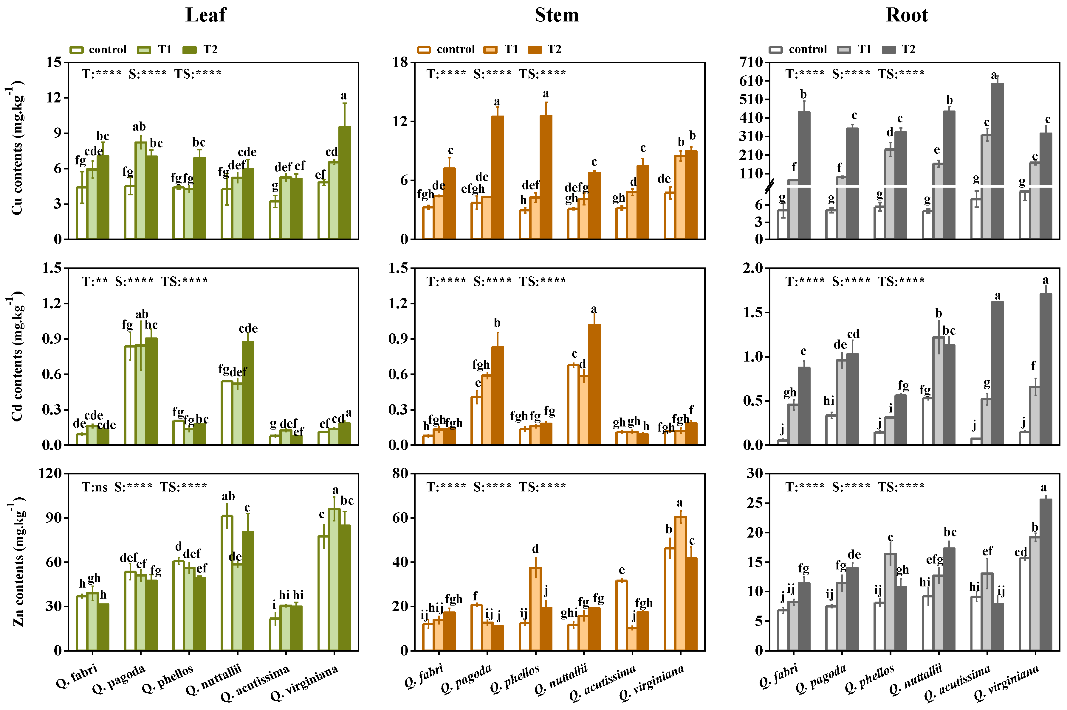 Forests 14 00062 g003 Forests 14 00062 g003