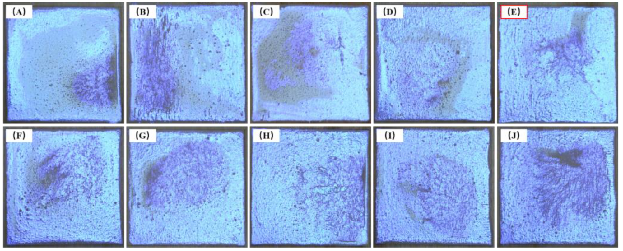 Forests 14 00076 g011