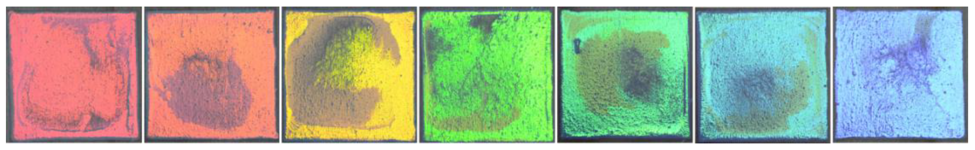 Forests 14 00076 g014