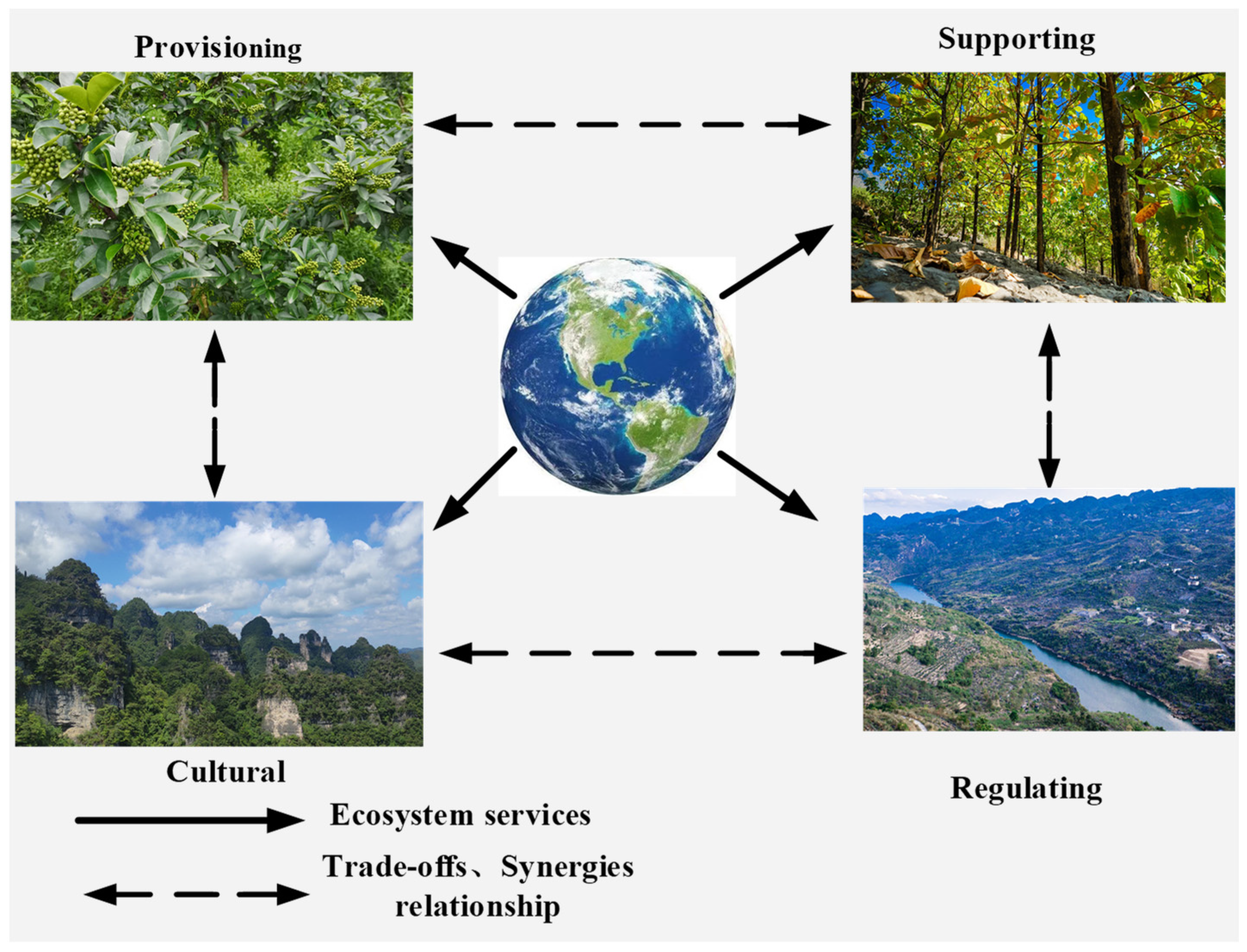 Trade-offs in forest disturbance management for plant communities and  ungulates - ScienceDirect