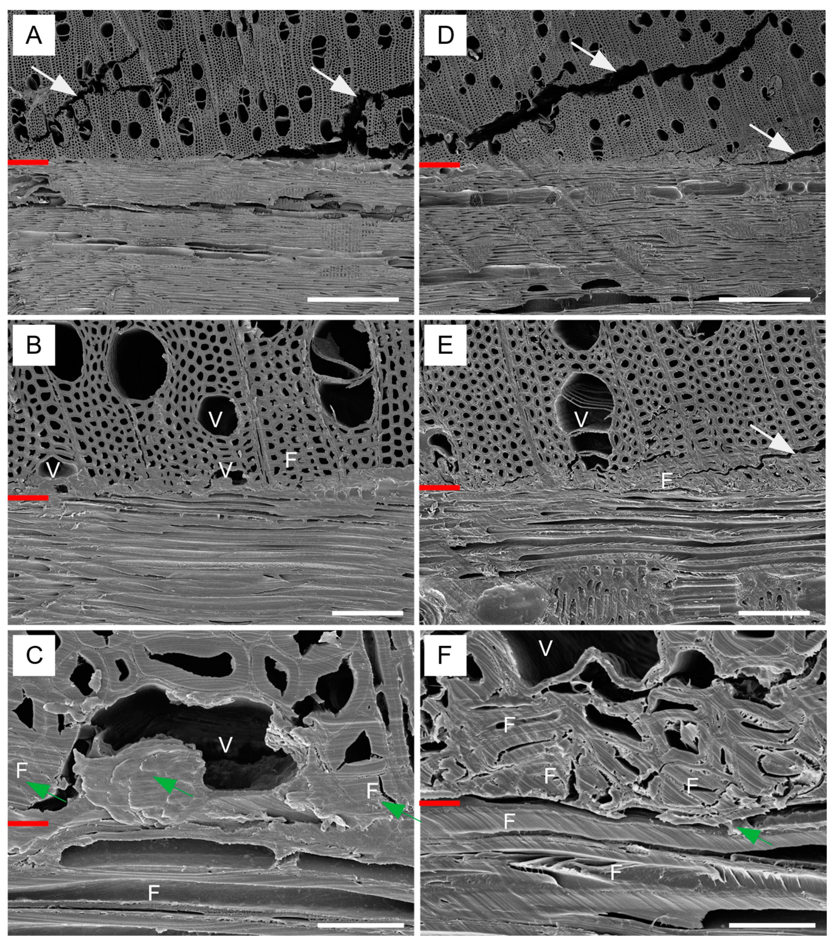 Forests 14 00096 g006 Forests 14 00096 g006