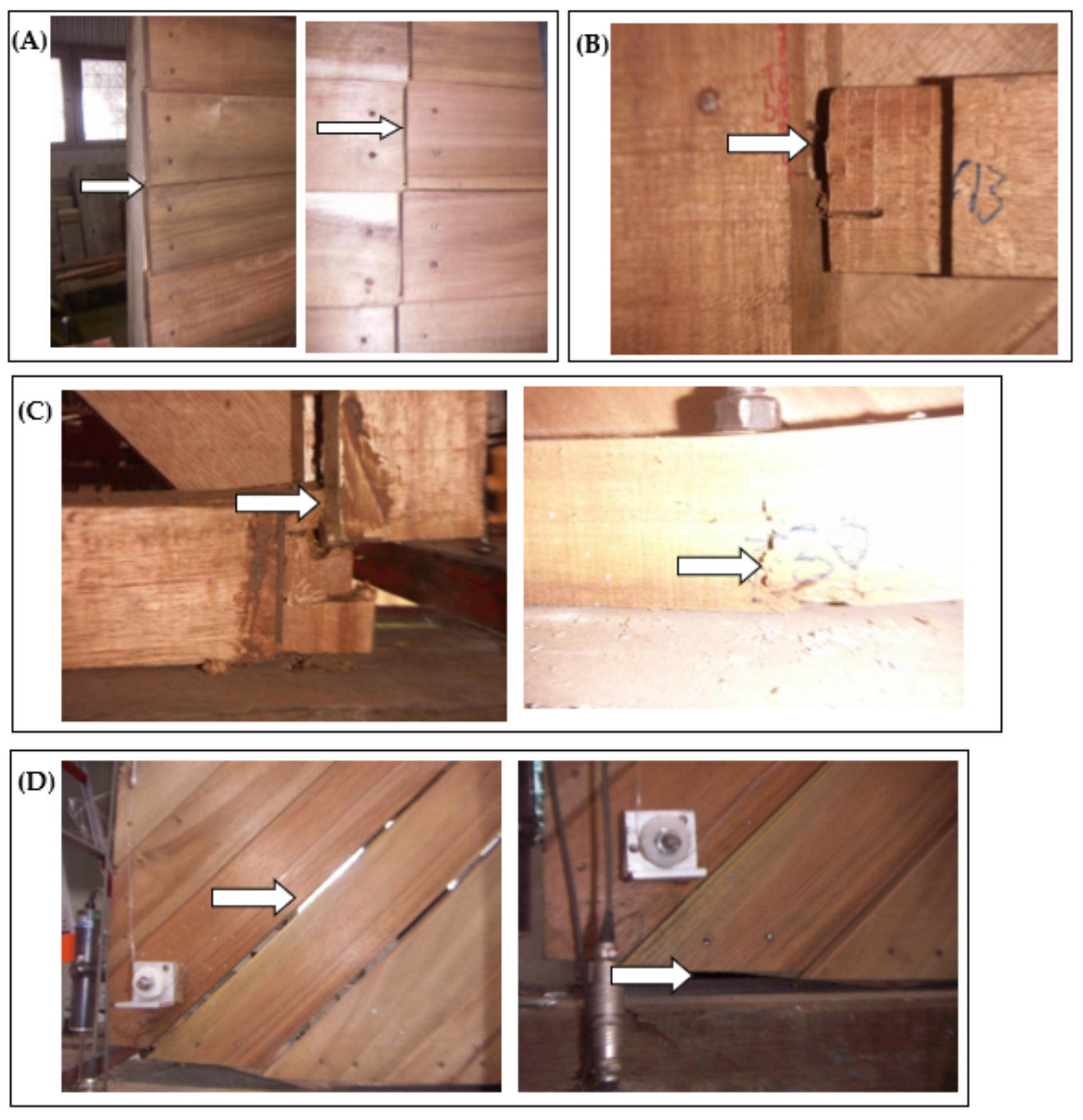 Forests 14 00097 g010