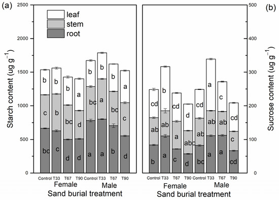 Forests Free Full Text Sex Related Ecophysiological Responses Of Hippophae Rhamnoide 