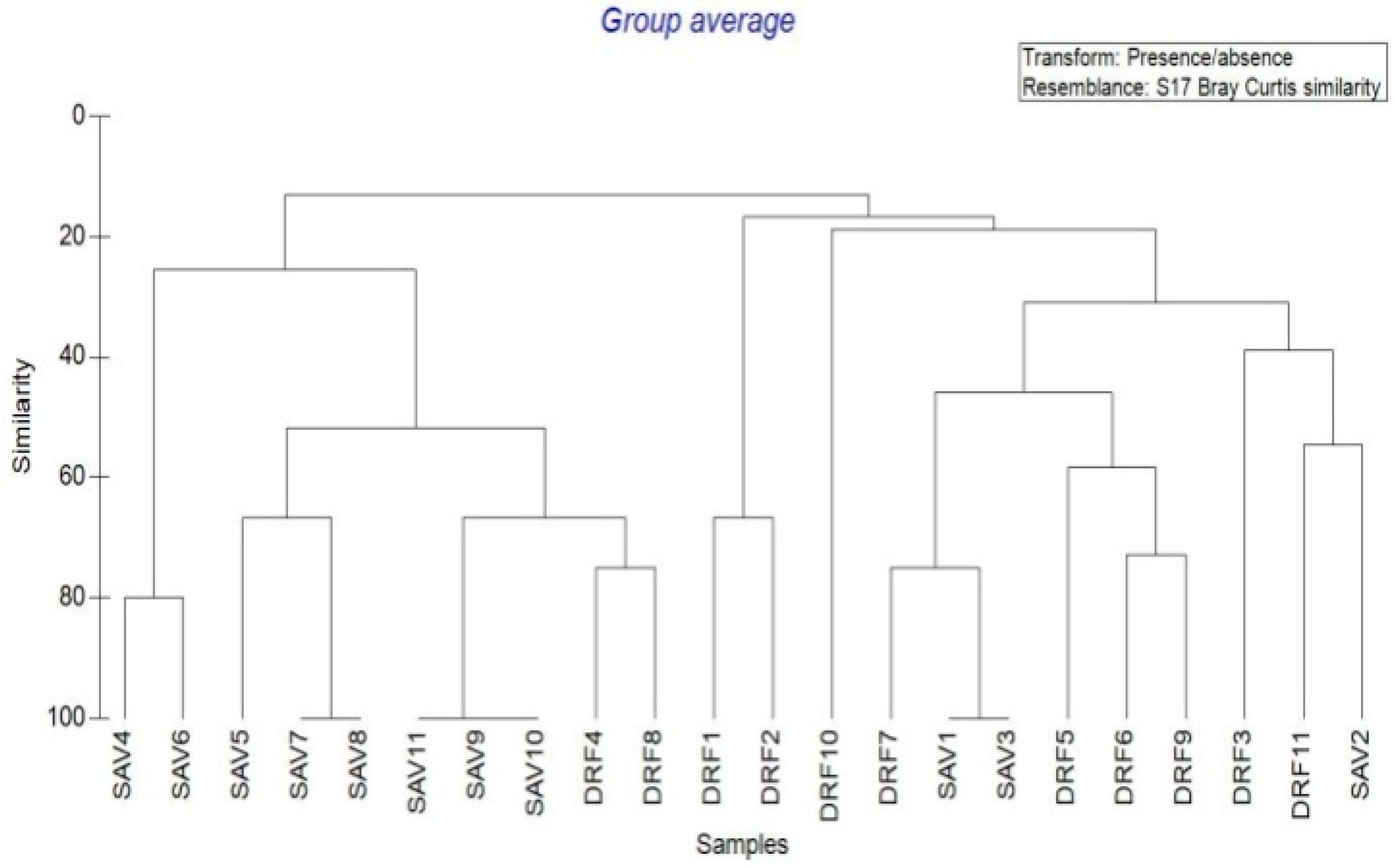 Forests 14 00106 g009