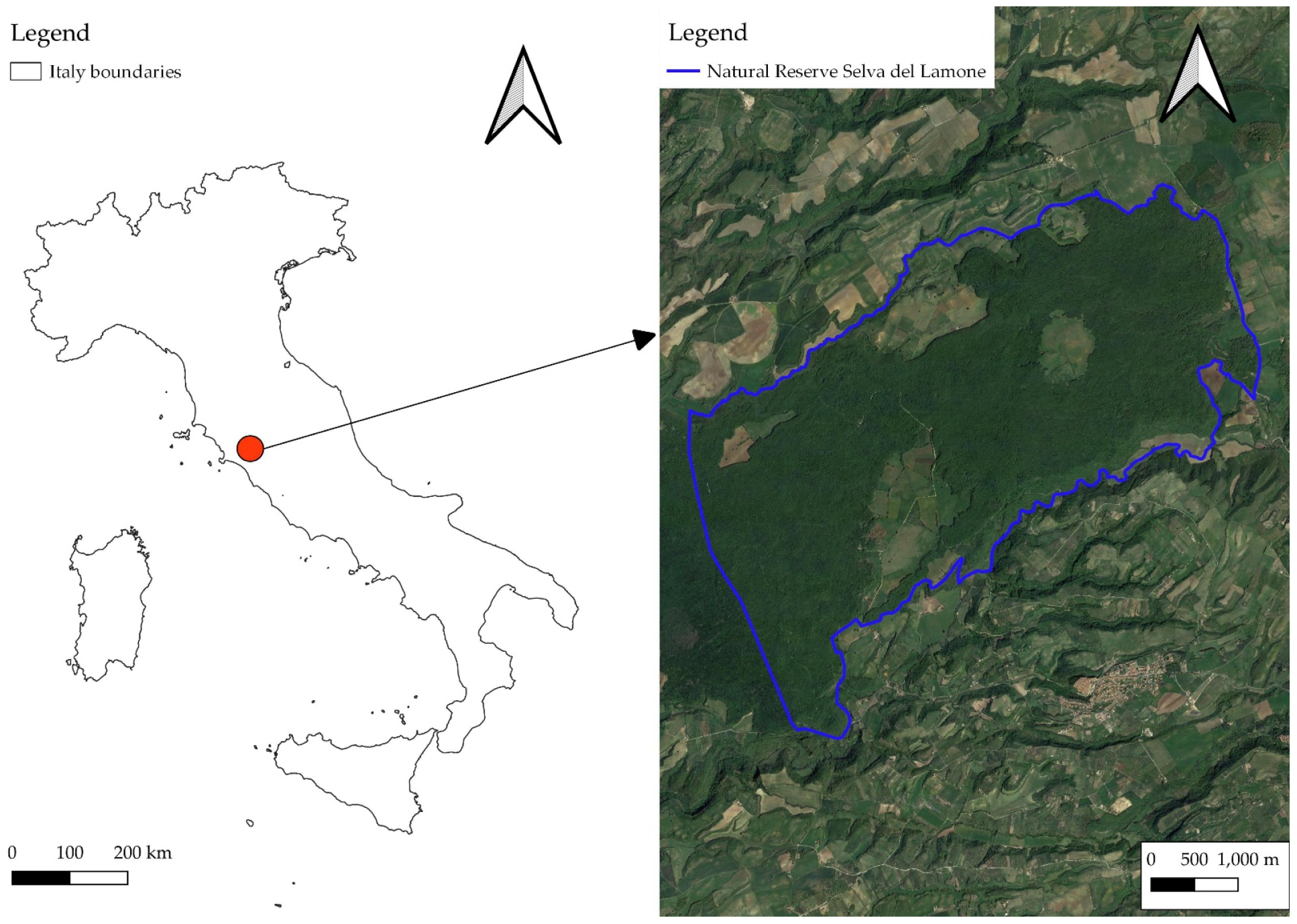 Forests 14 00127 g001
