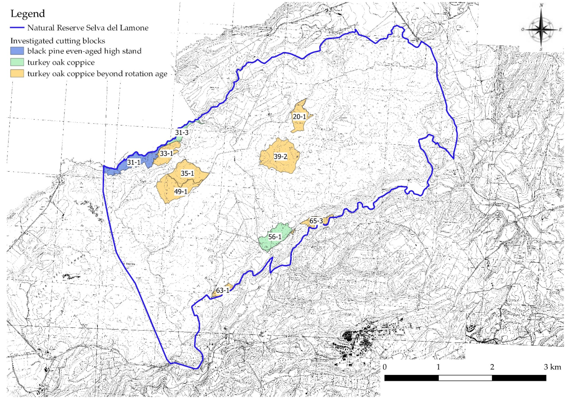 Forests 14 00127 g002