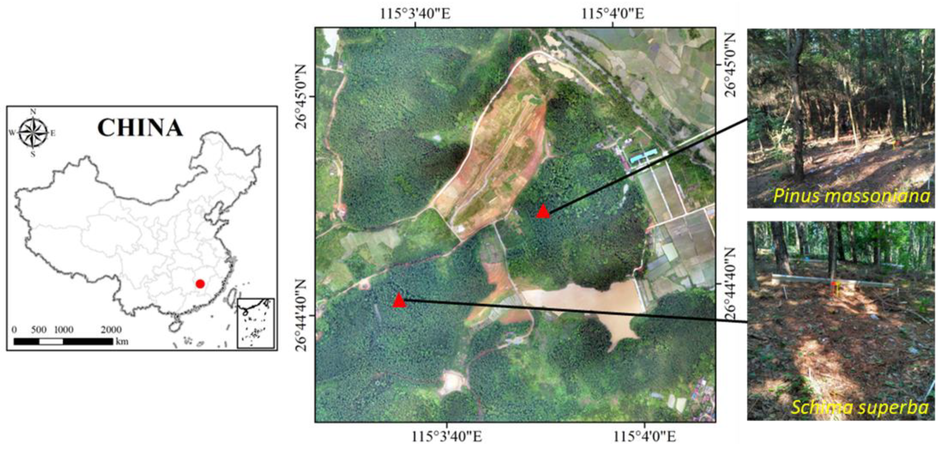 Forests 14 00130 g001
