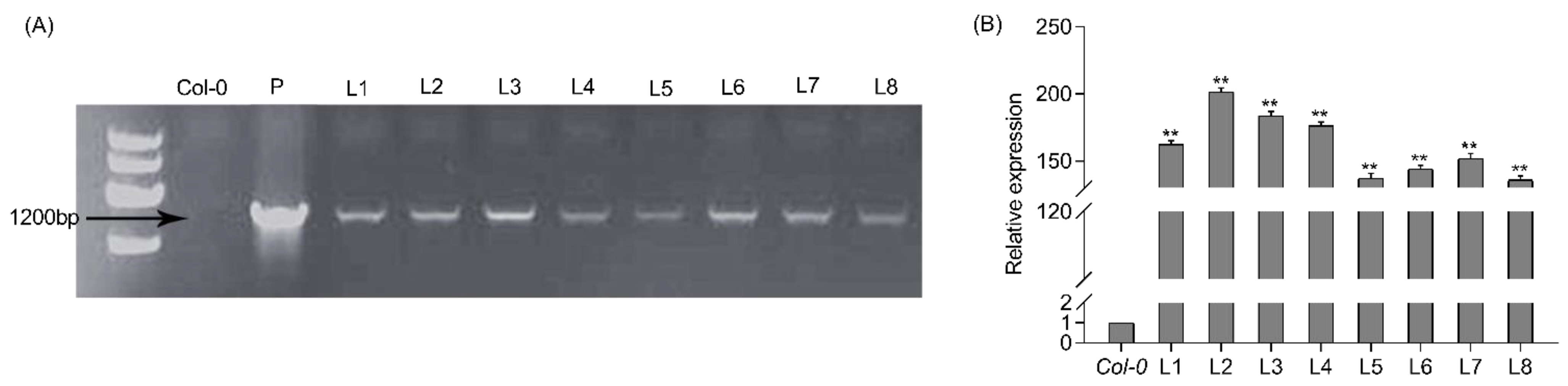 Forests 14 00191 g002 Forests 14 00191 g002