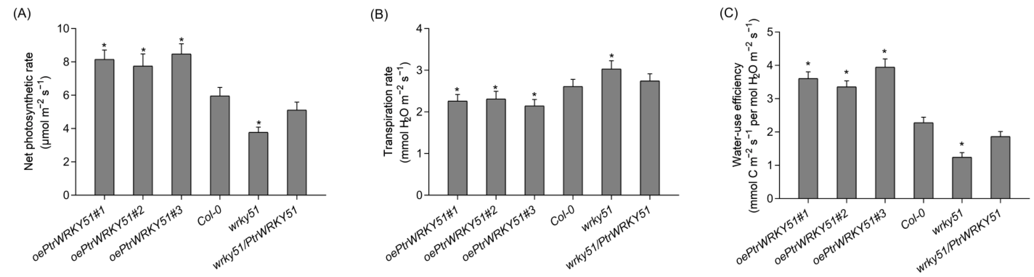 Forests 14 00191 g004 Forests 14 00191 g004