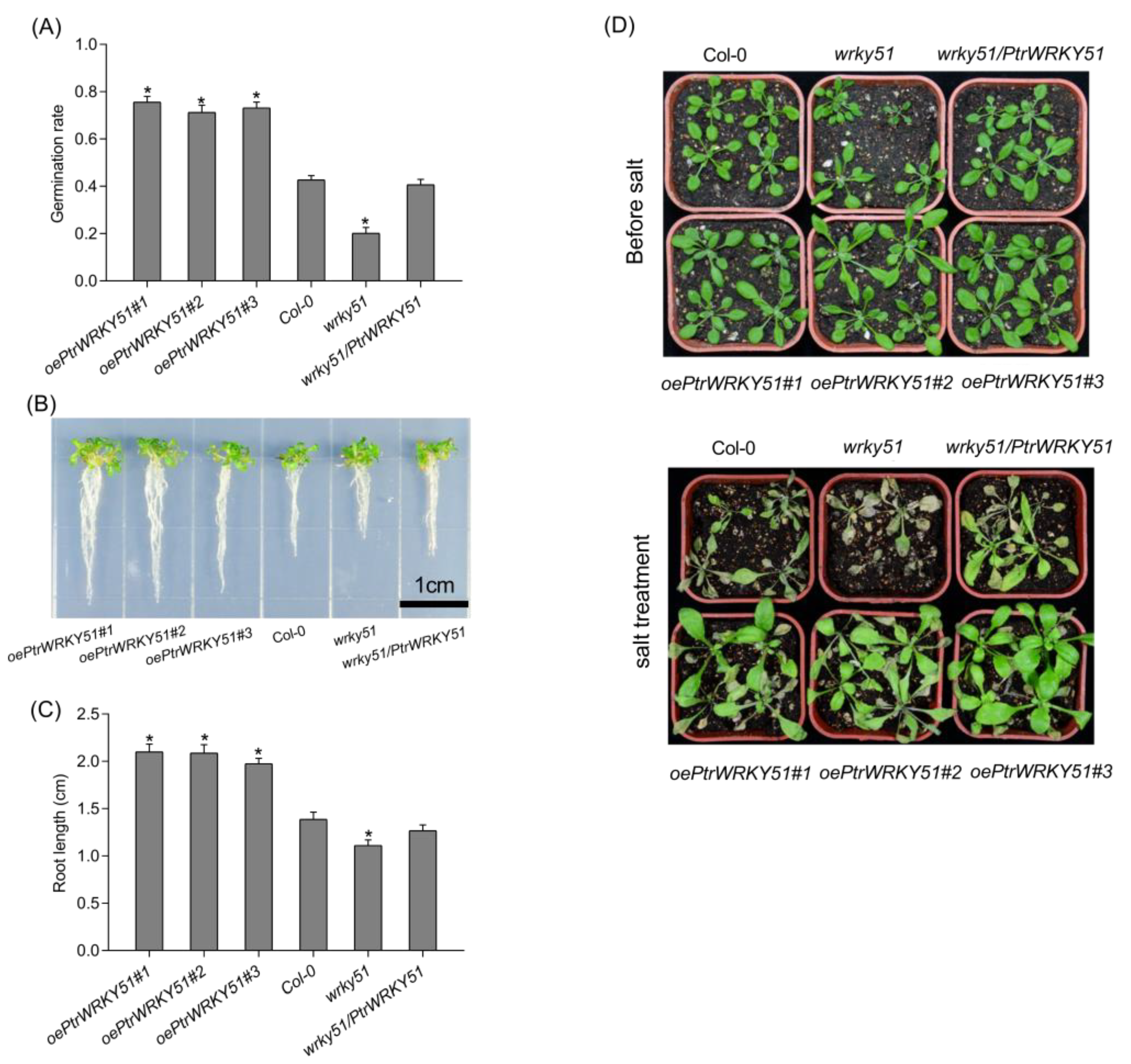 Forests 14 00191 g005 Forests 14 00191 g005
