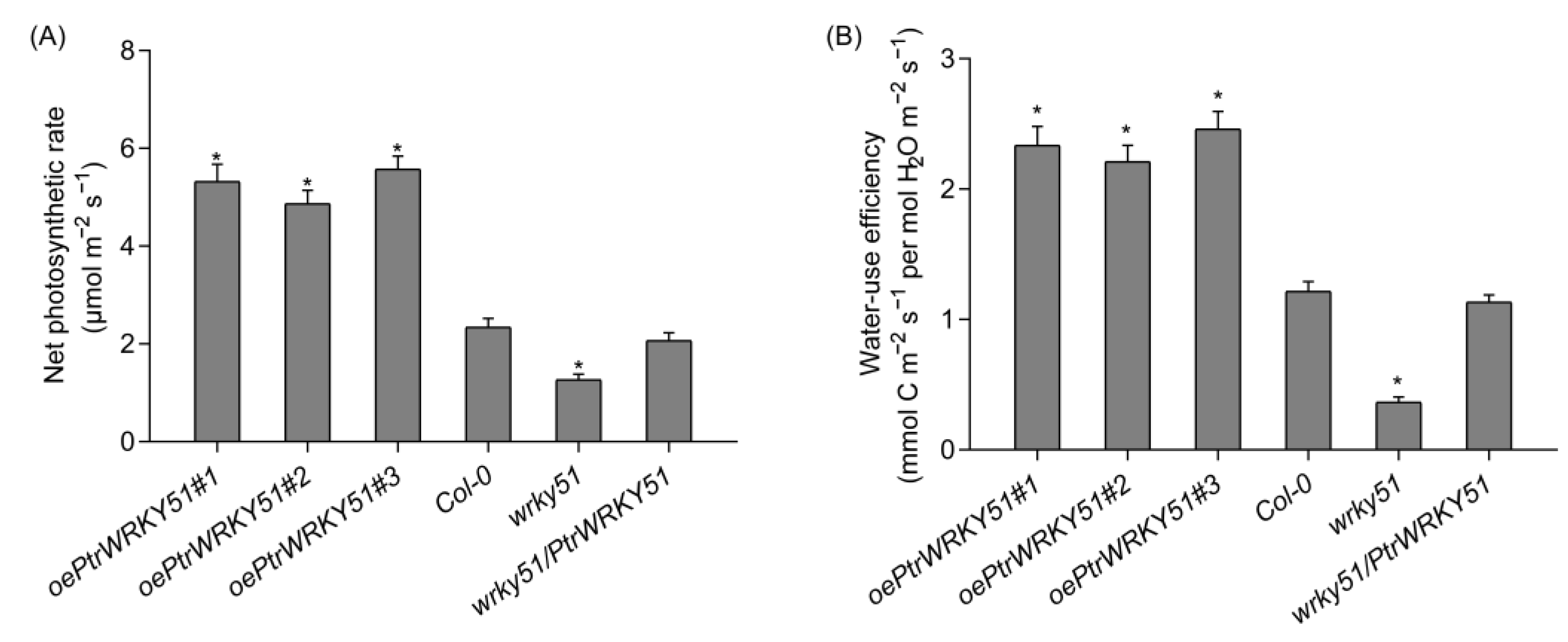 Forests 14 00191 g006 Forests 14 00191 g006