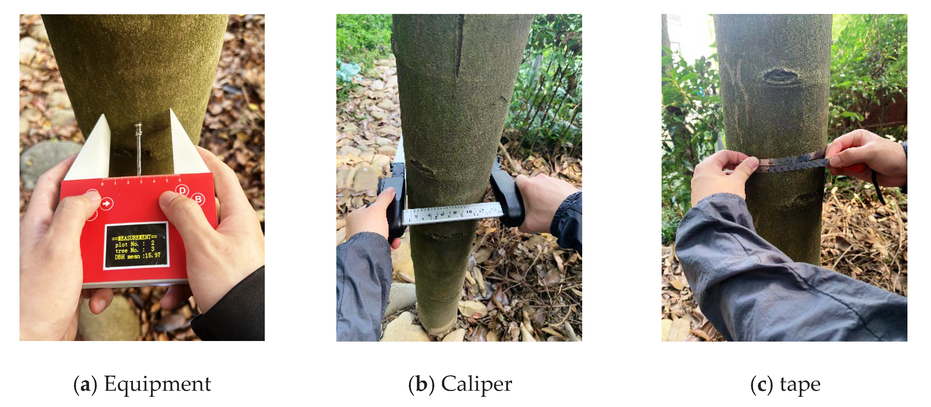 Forests | Free Full-Text | Development of Measuring Device for Diameter at  Breast Height of Trees