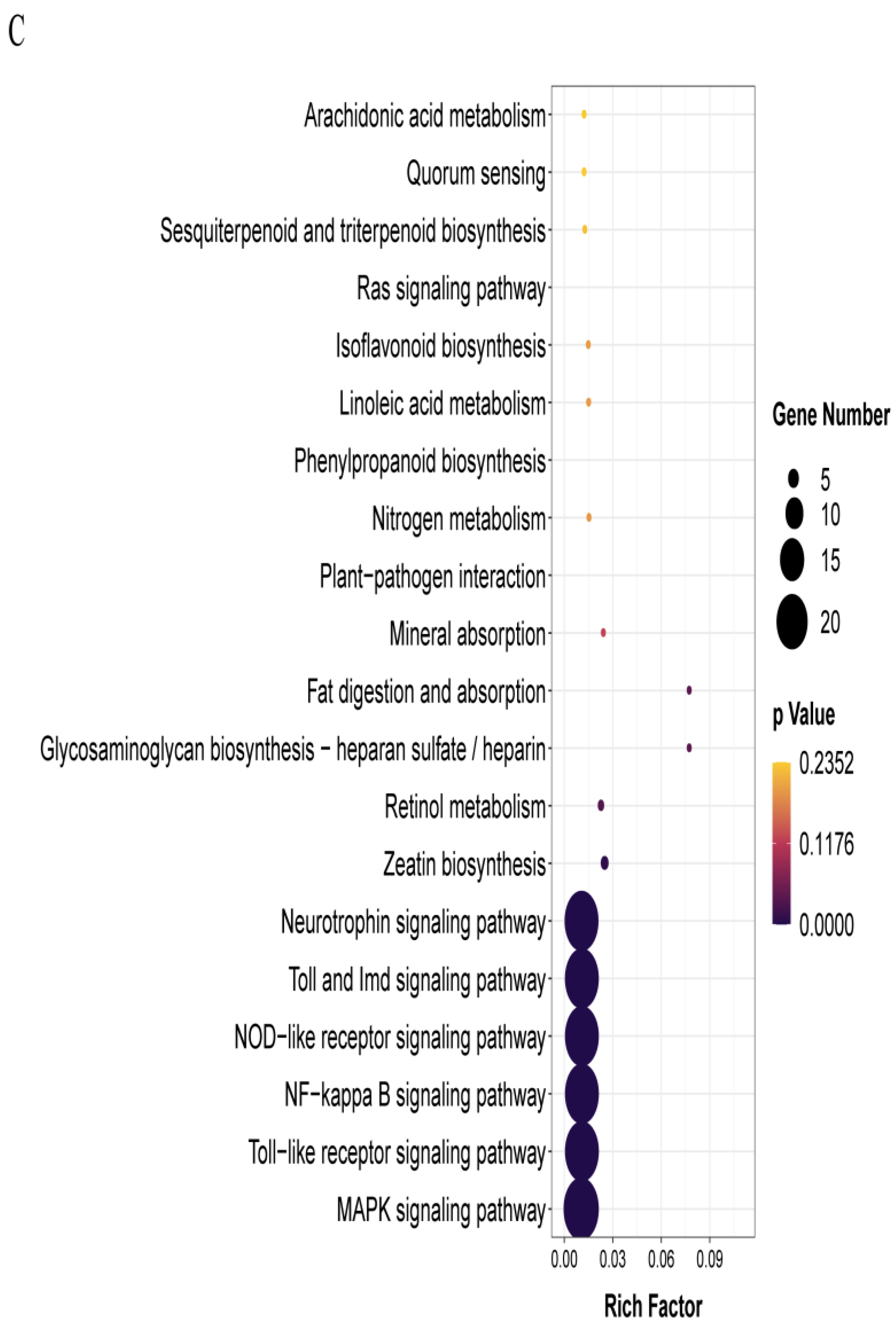 Forests 14 00198 g003b