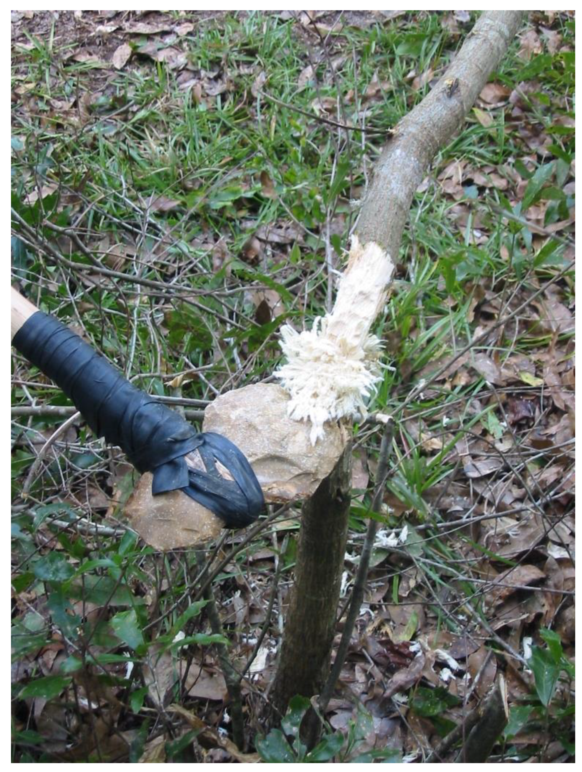 75: A DOUBLE ENDED FLINT CELT, HOE OR CHOPPING TOOL