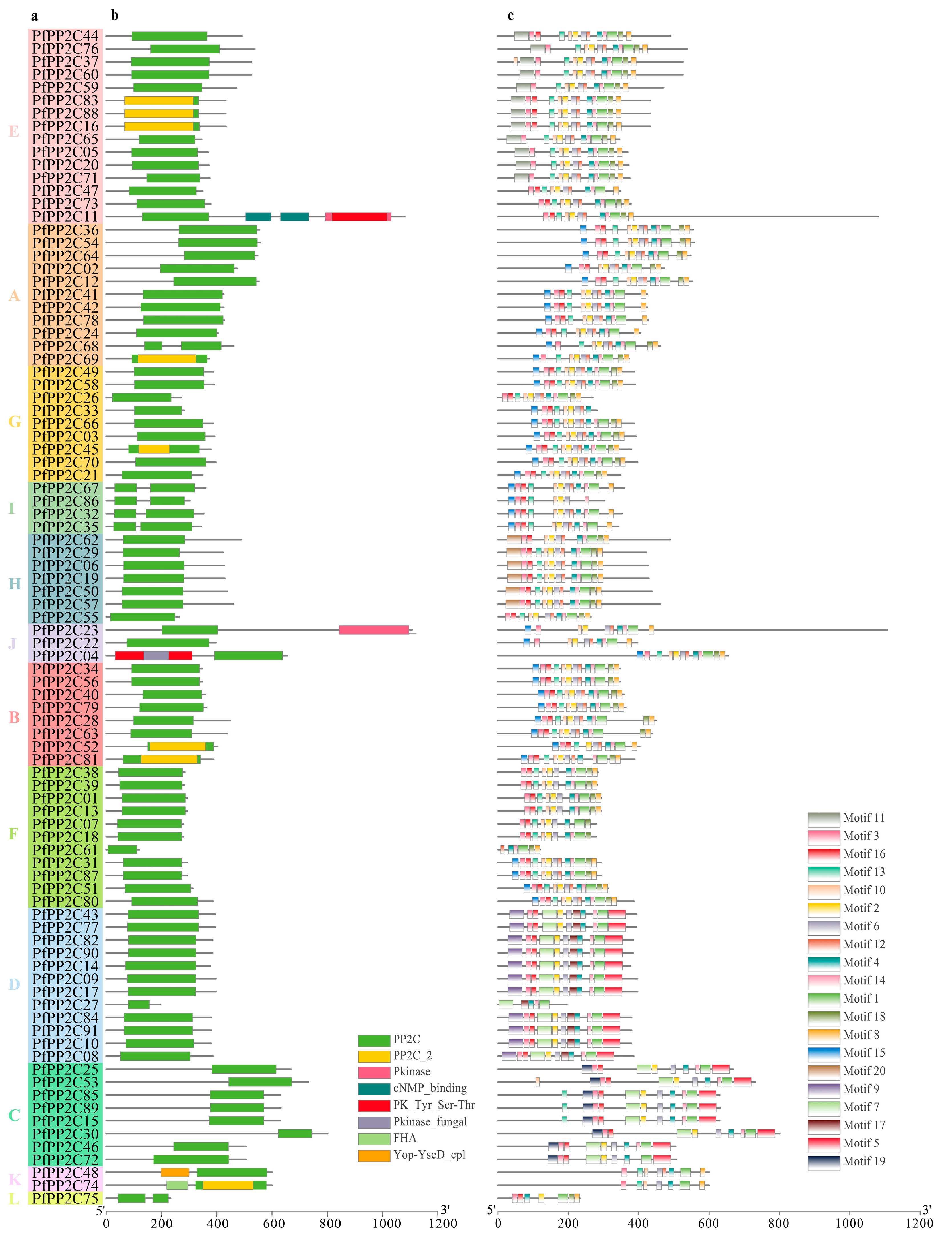 Forests 14 00207 g004 Forests 14 00207 g004