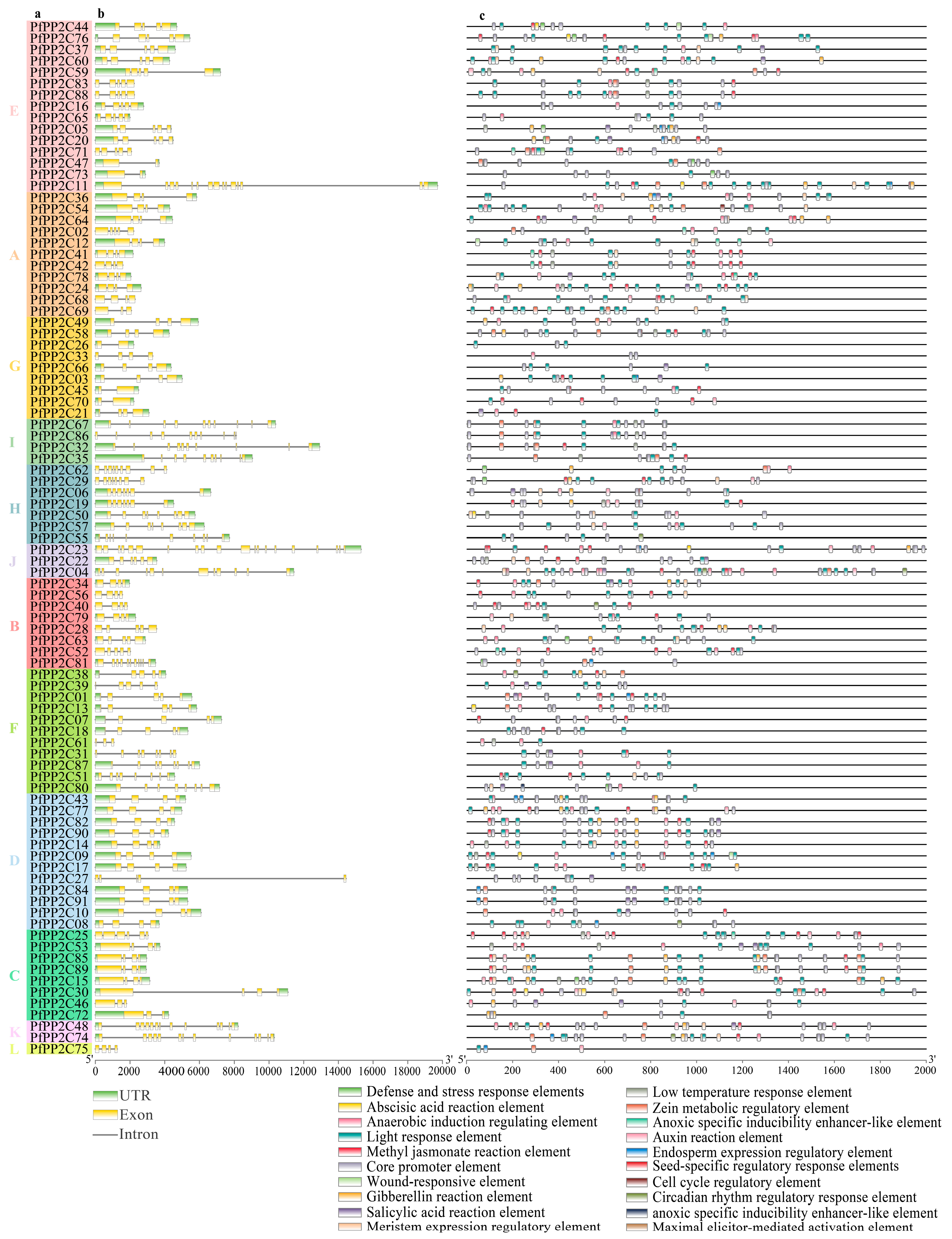 Forests 14 00207 g005 Forests 14 00207 g005