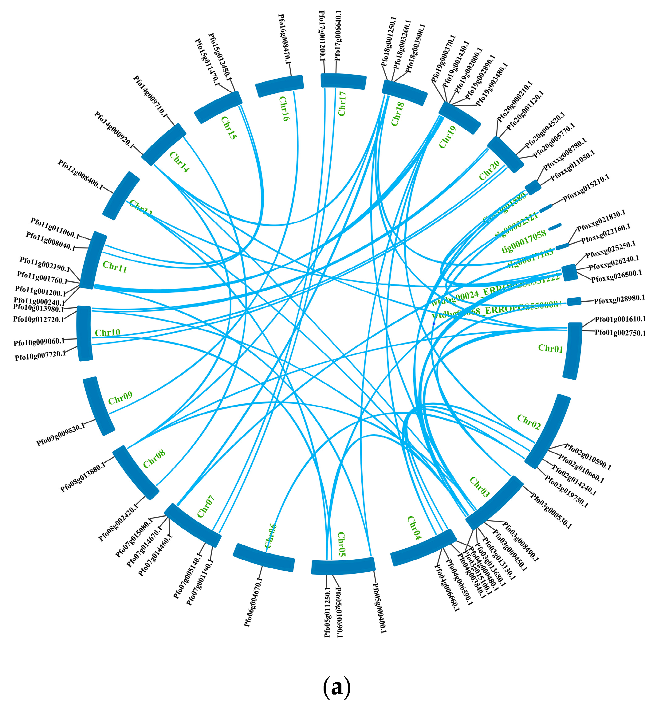 Forests 14 00207 g006a Forests 14 00207 g006a