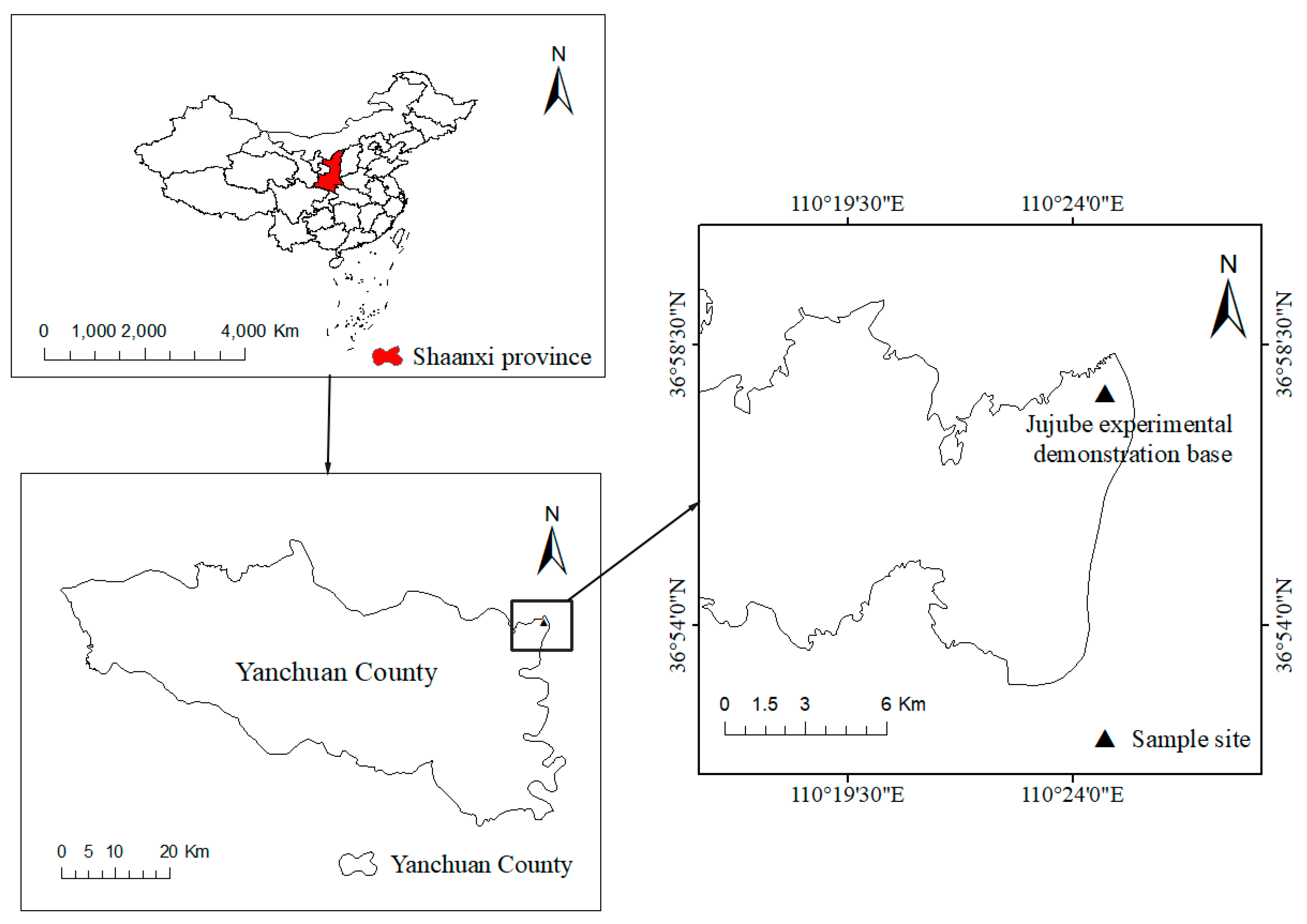 Forests 14 00221 g001
