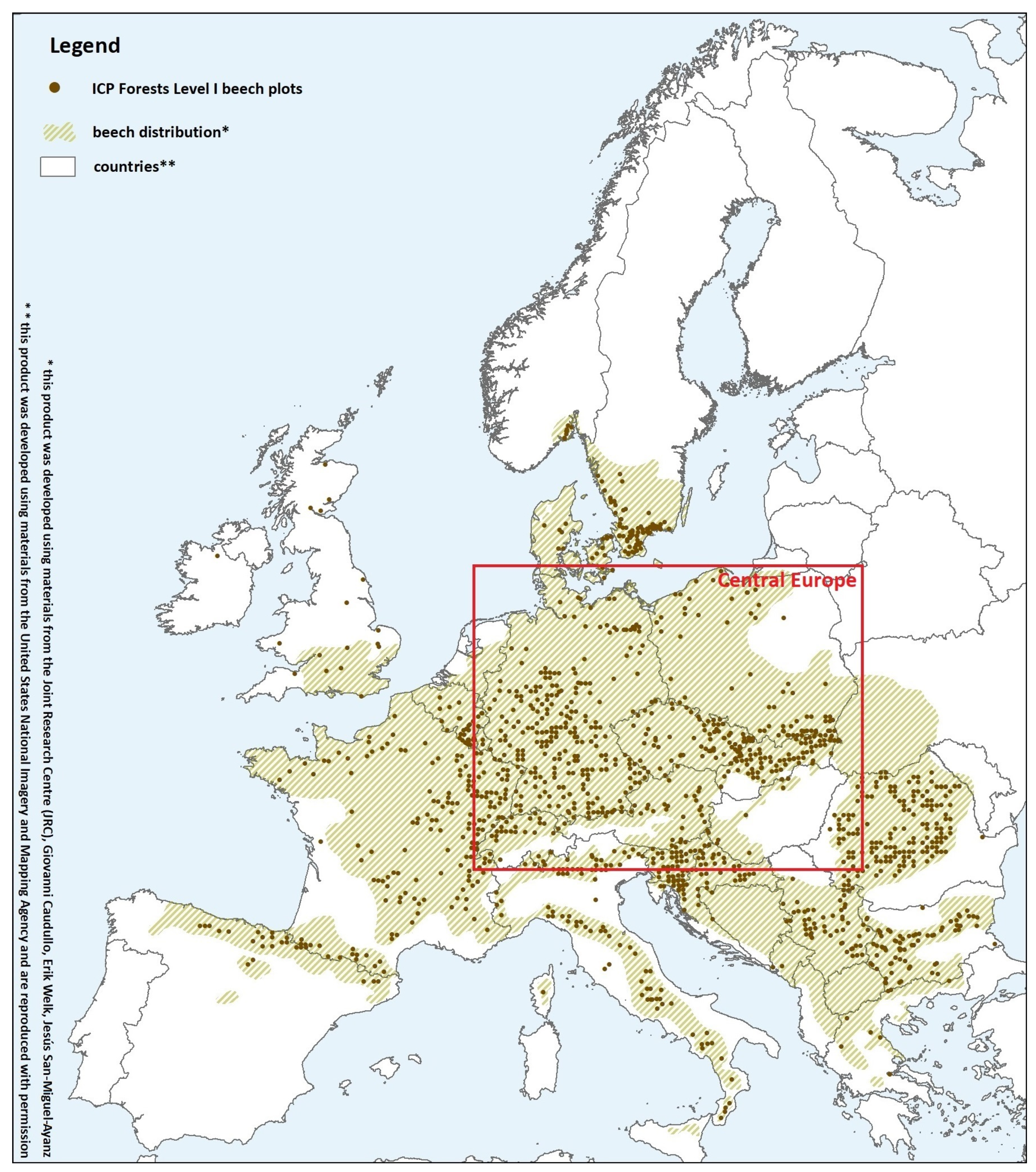 Forests | Free Full-Text | Distinct Responses of European Beech (Fagus  sylvatica L.) to Drought Intensity and Length&mdash;A Review of the Impacts  of the 2003 and 2018&ndash;2019 Drought Events in Central Europe