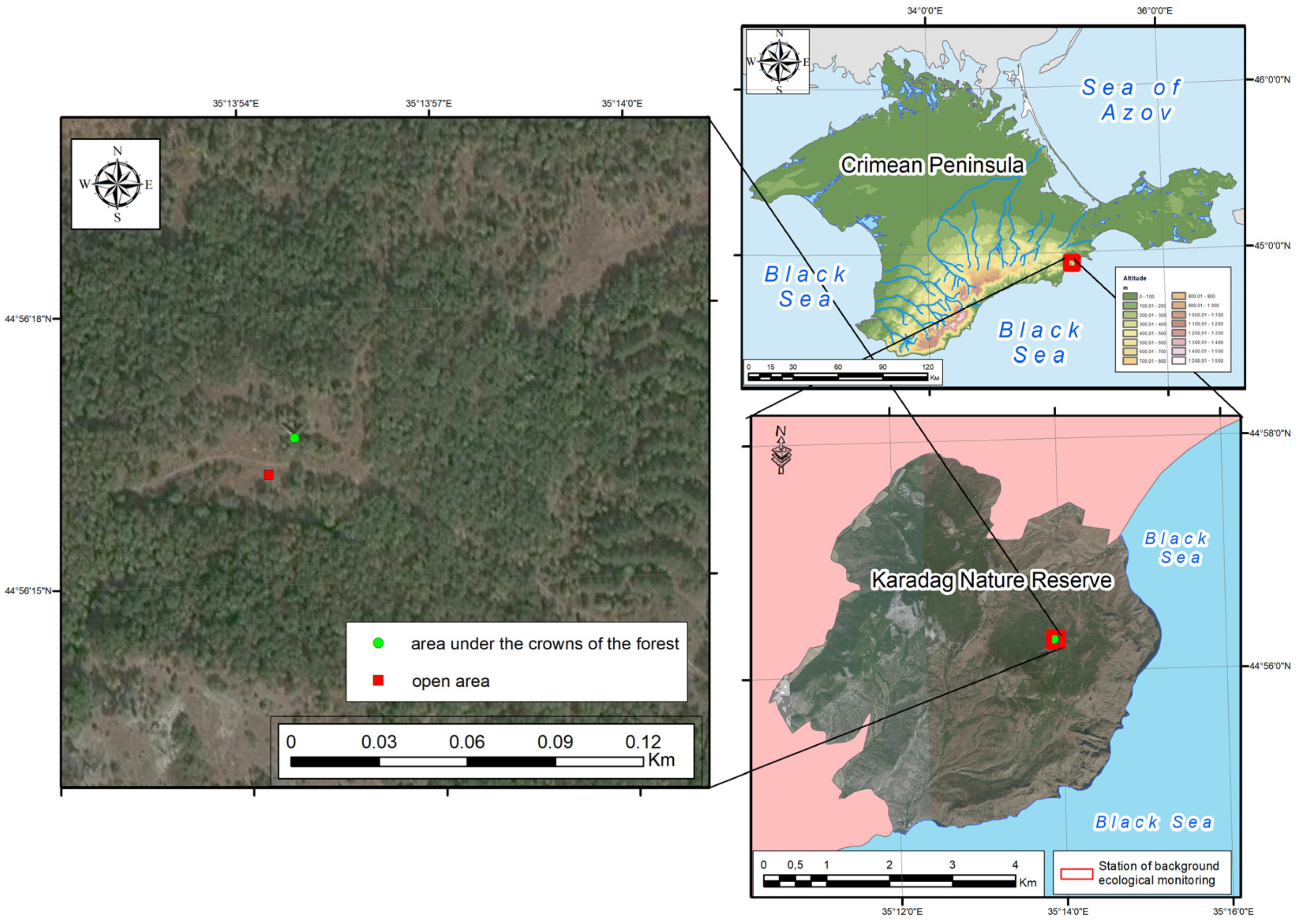 Forests 14 00294 g001