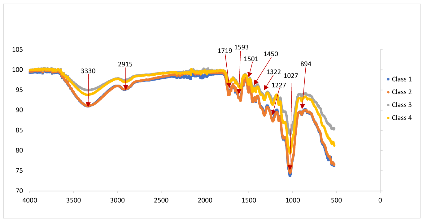 Forests 14 00350 g003