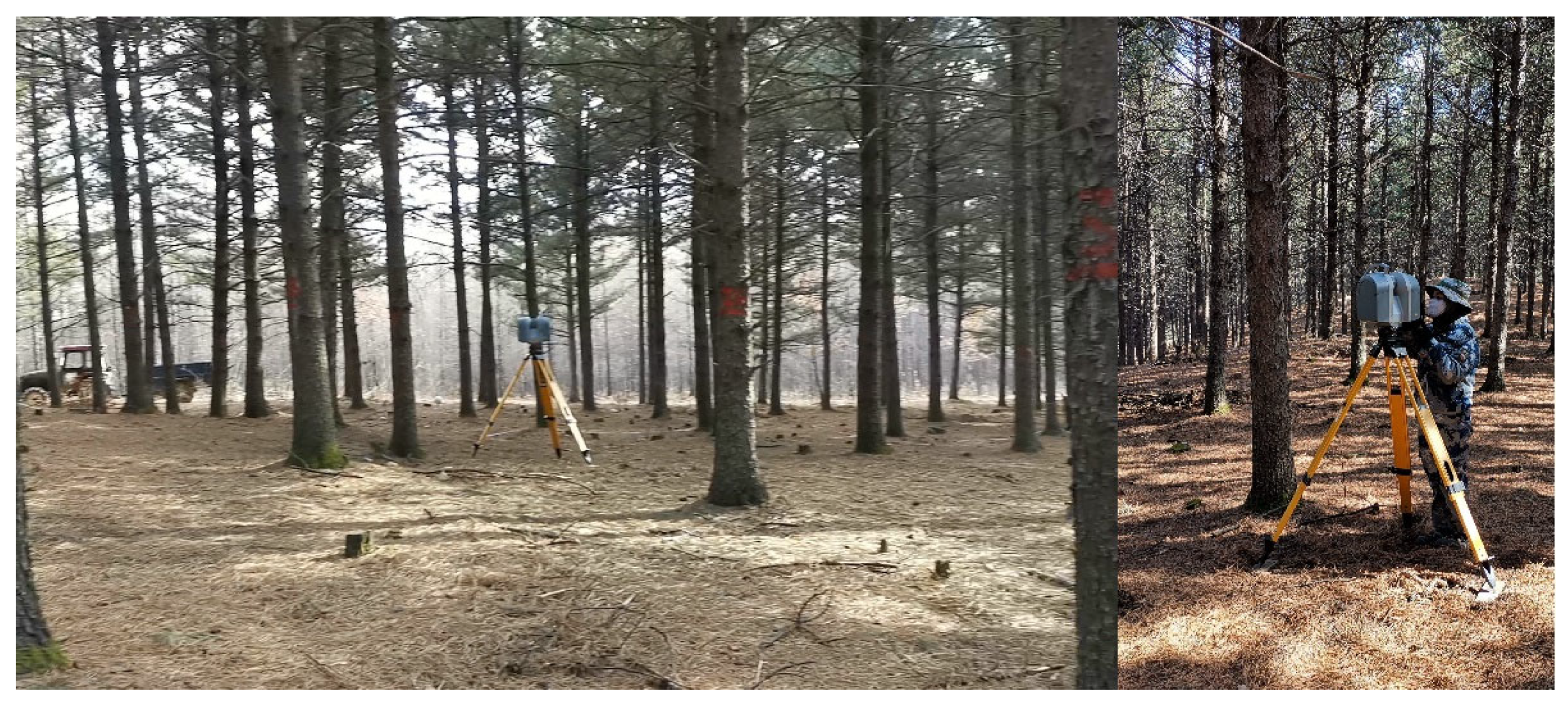 Forests 14 00351 g002