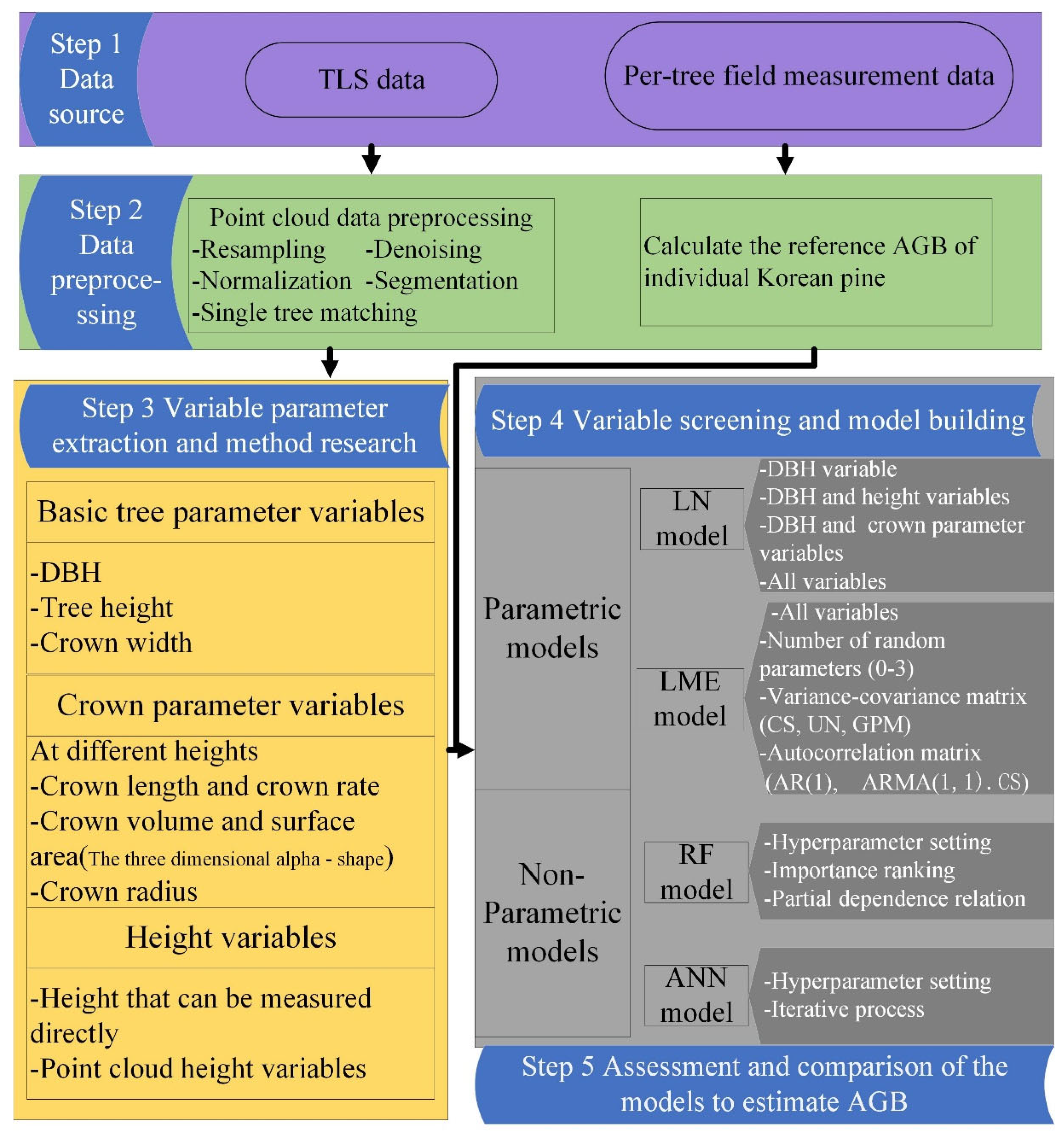 Forests 14 00351 g003