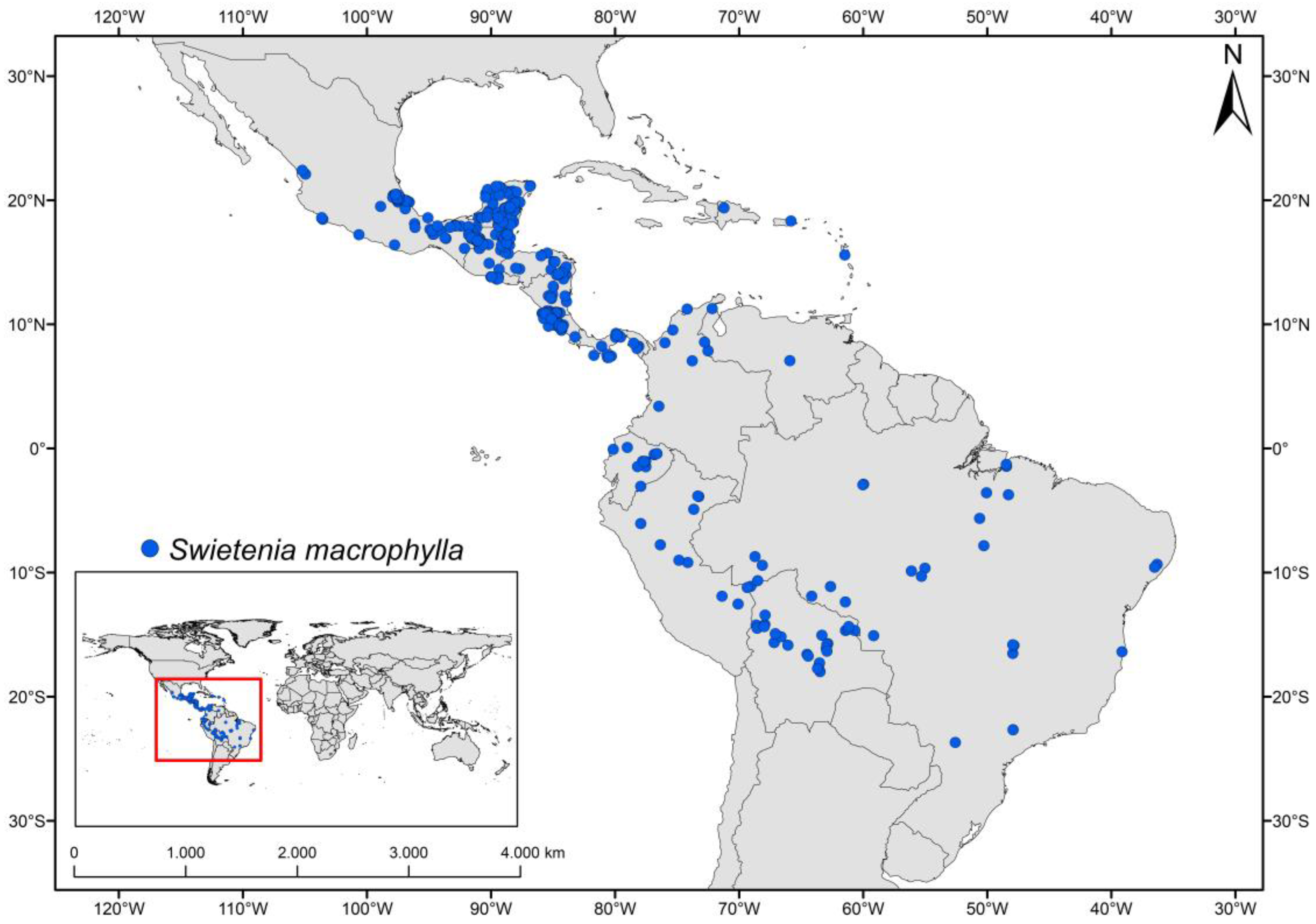 Forests | Free Full-Text | Modelling Climatically Suitable Areas for  Mahogany (Swietenia macrophylla King) and Their Shifts across Neotropics:  The Role of Protected Areas