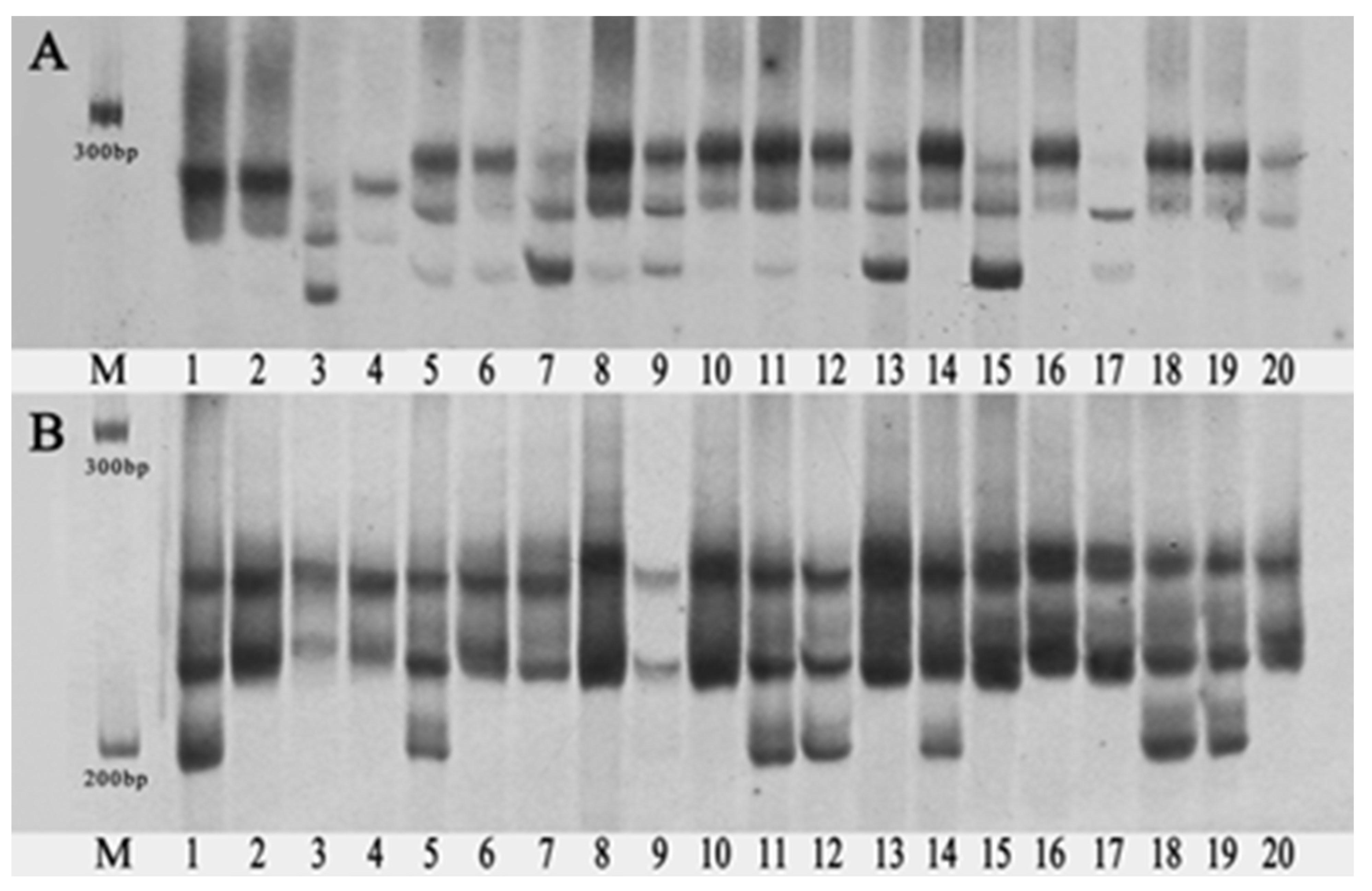 Forests 14 00473 g005 Forests 14 00473 g005
