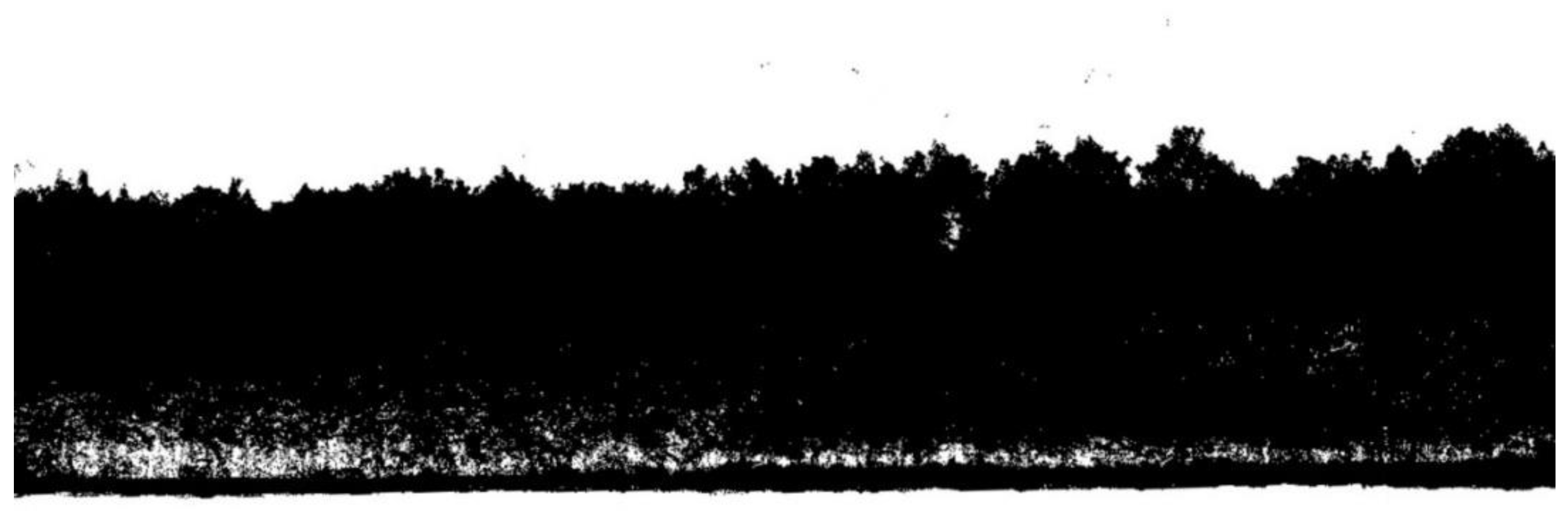 Forests 14 00484 g002 Forests 14 00484 g002