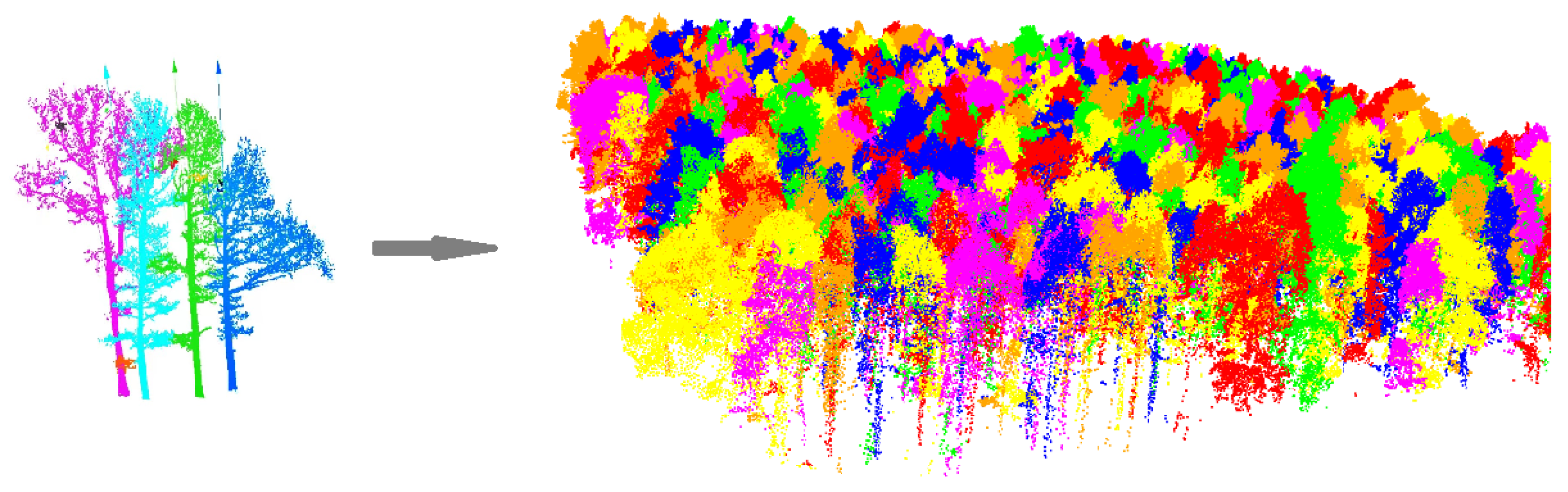 Forests 14 00484 g006 Forests 14 00484 g006