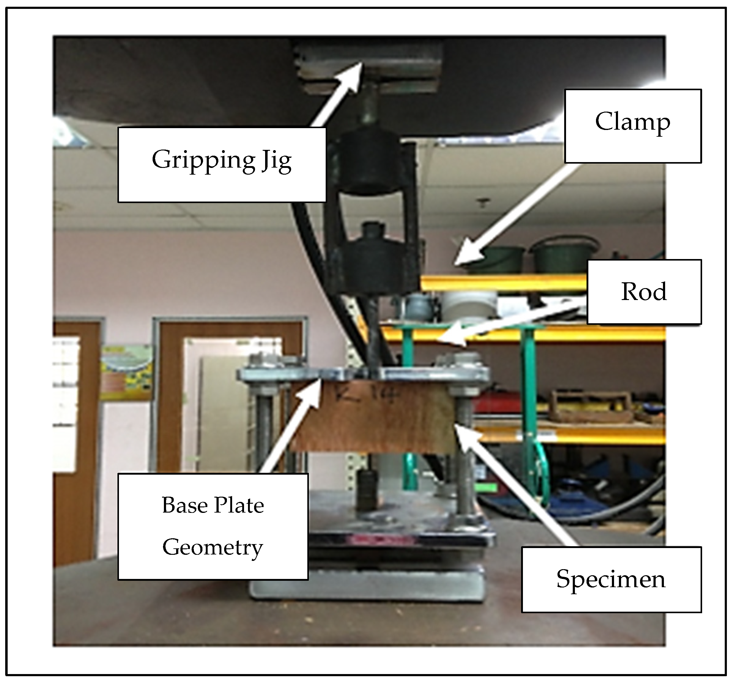 Forests 14 00491 g002