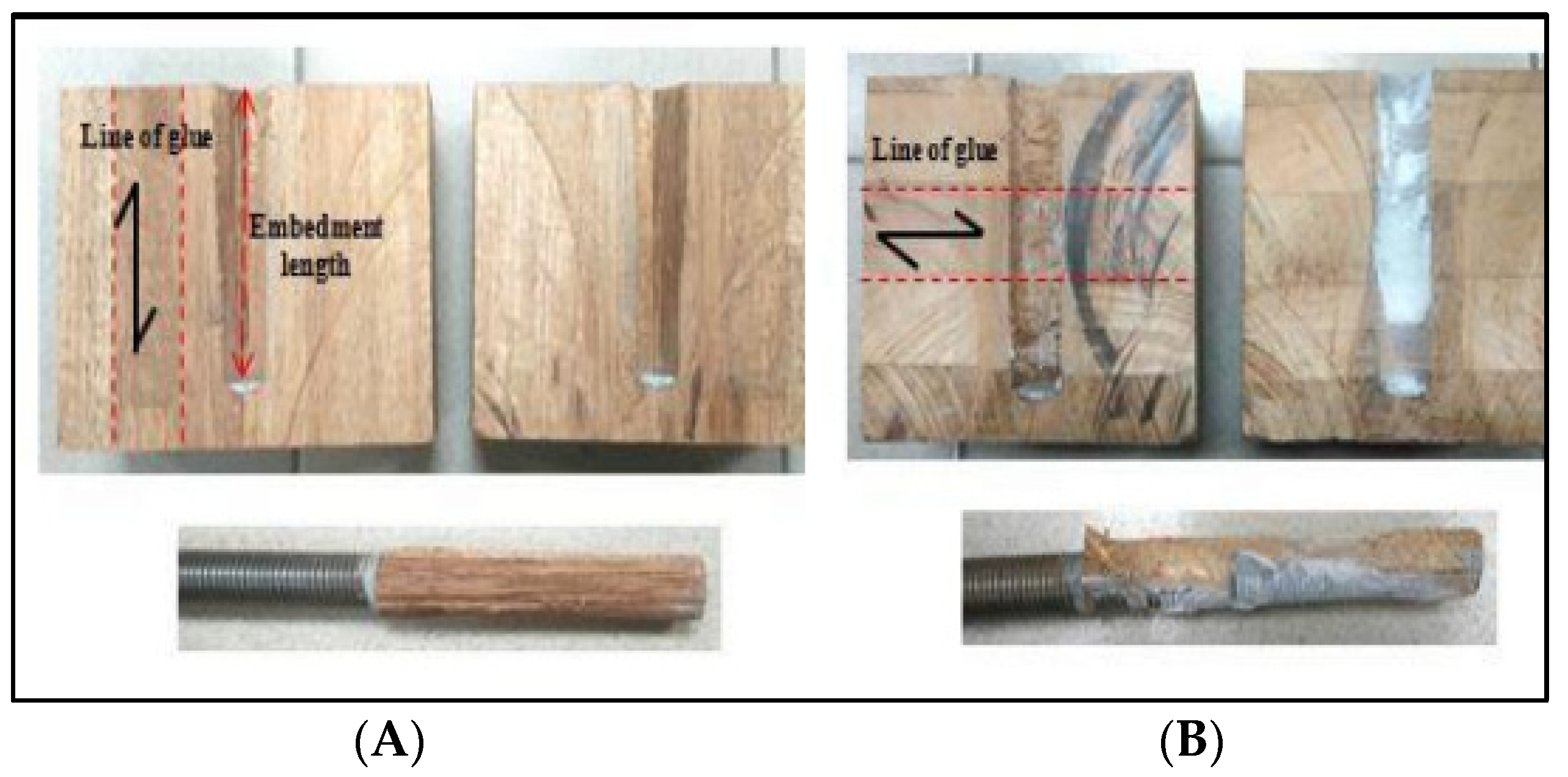 Forests 14 00491 g006