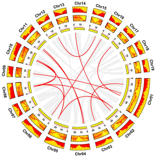 Expression Of Poplar Hsf Genes In Response To Abiotic Stress Measured