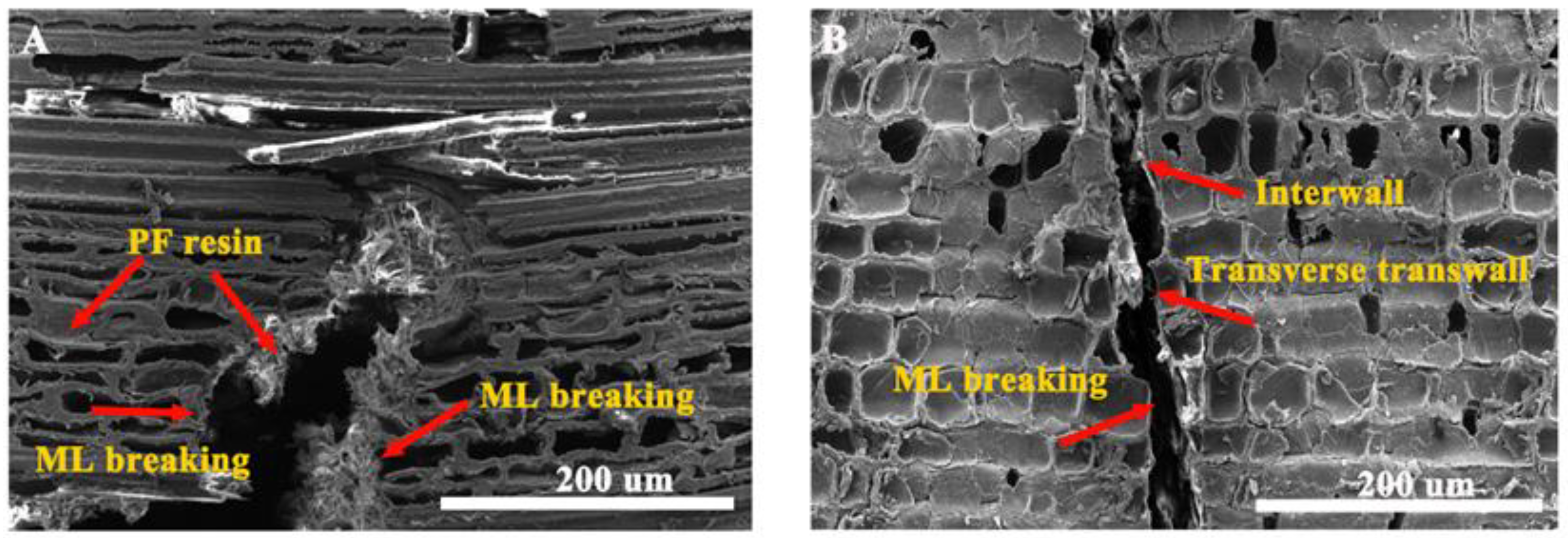 Forests | Free Full-Text | In Situ Detection Of The Flexural Fracture ...