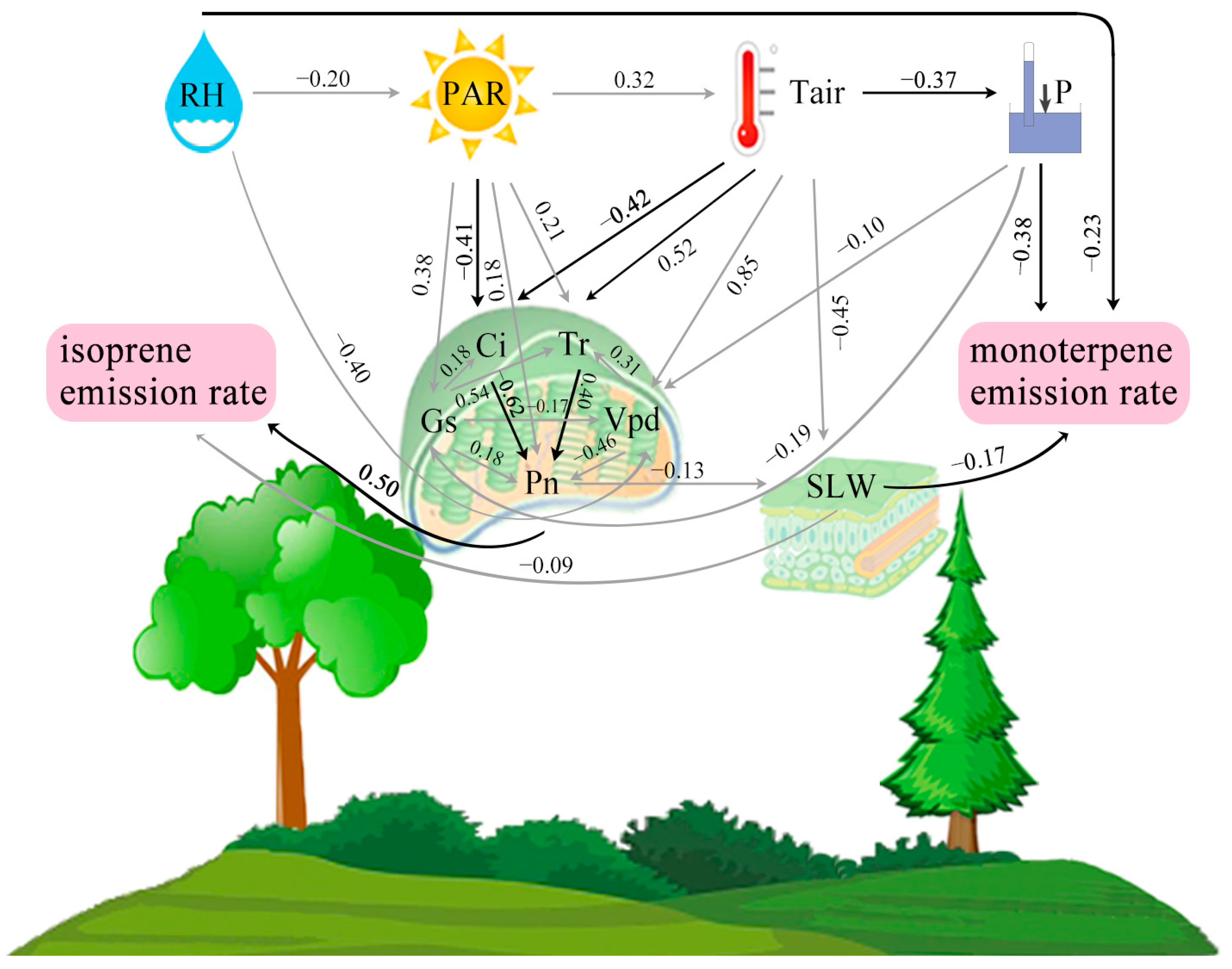 Forests 14 00523 g006