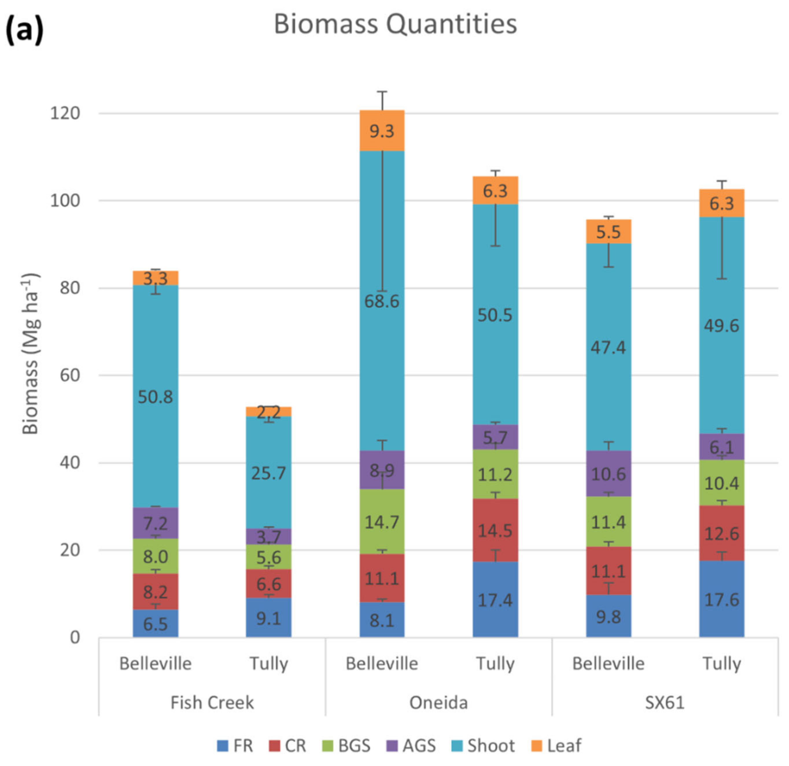 Forests 14 00525 g002a