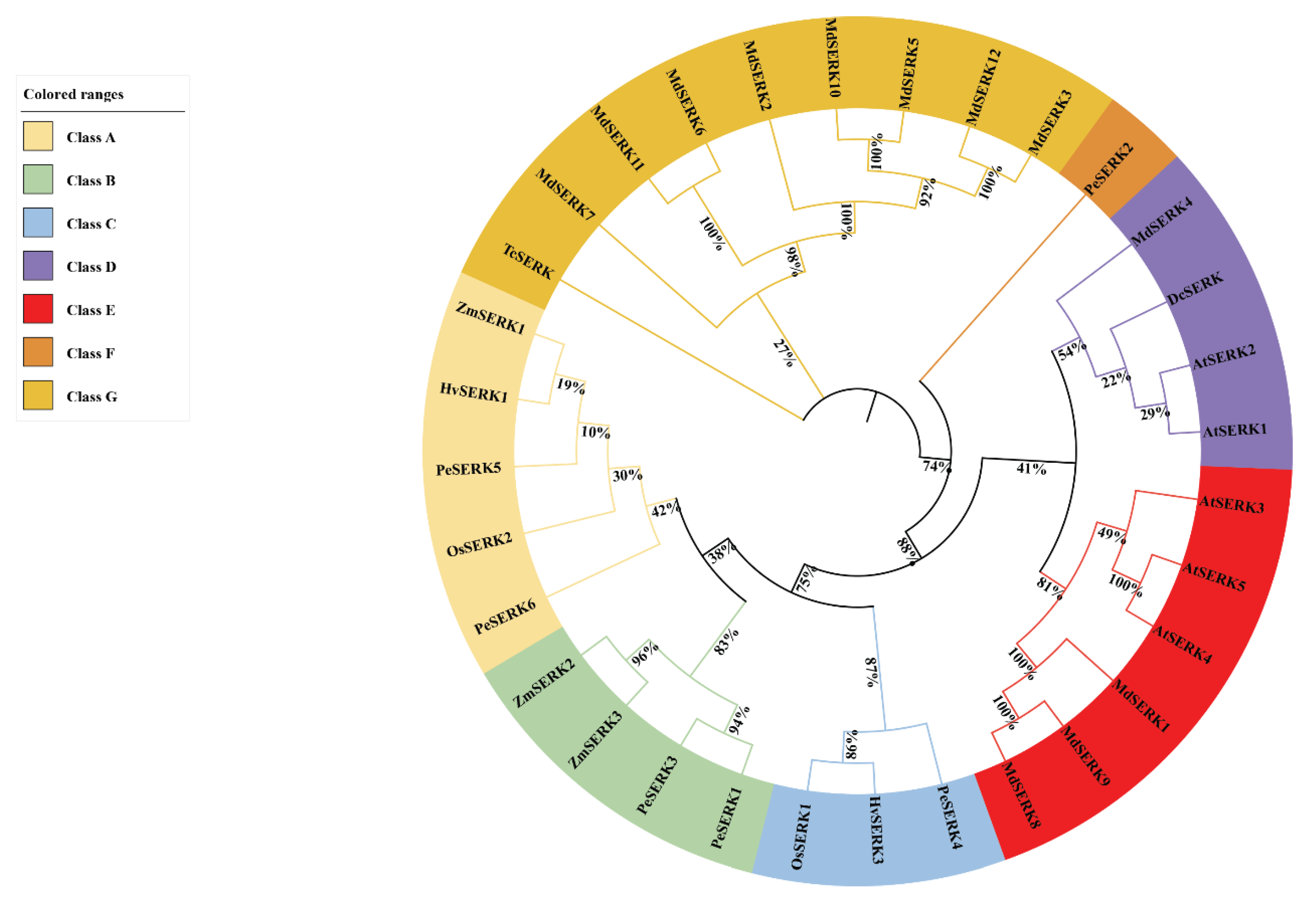 Forests 14 00540 g002