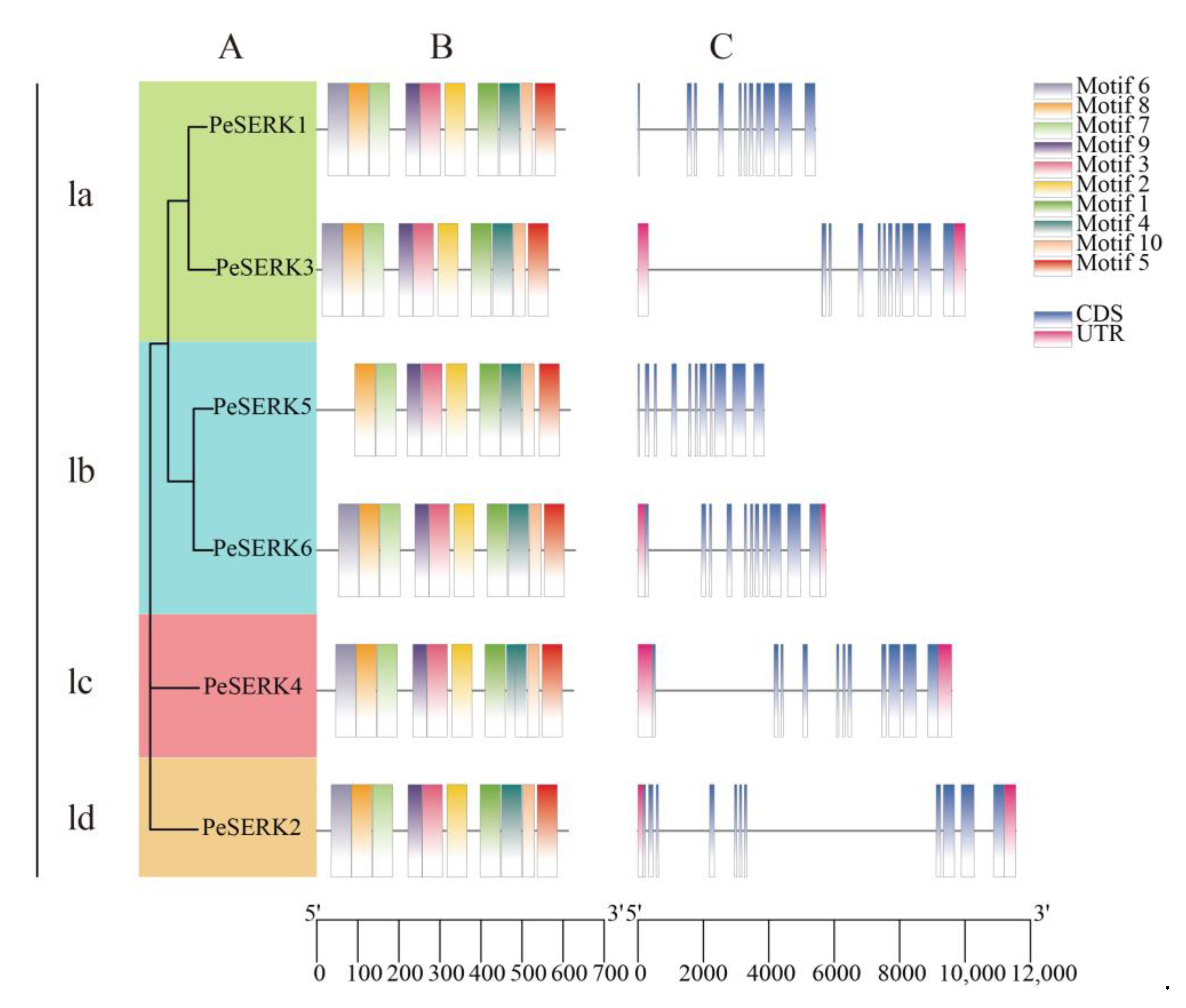Forests 14 00540 g003