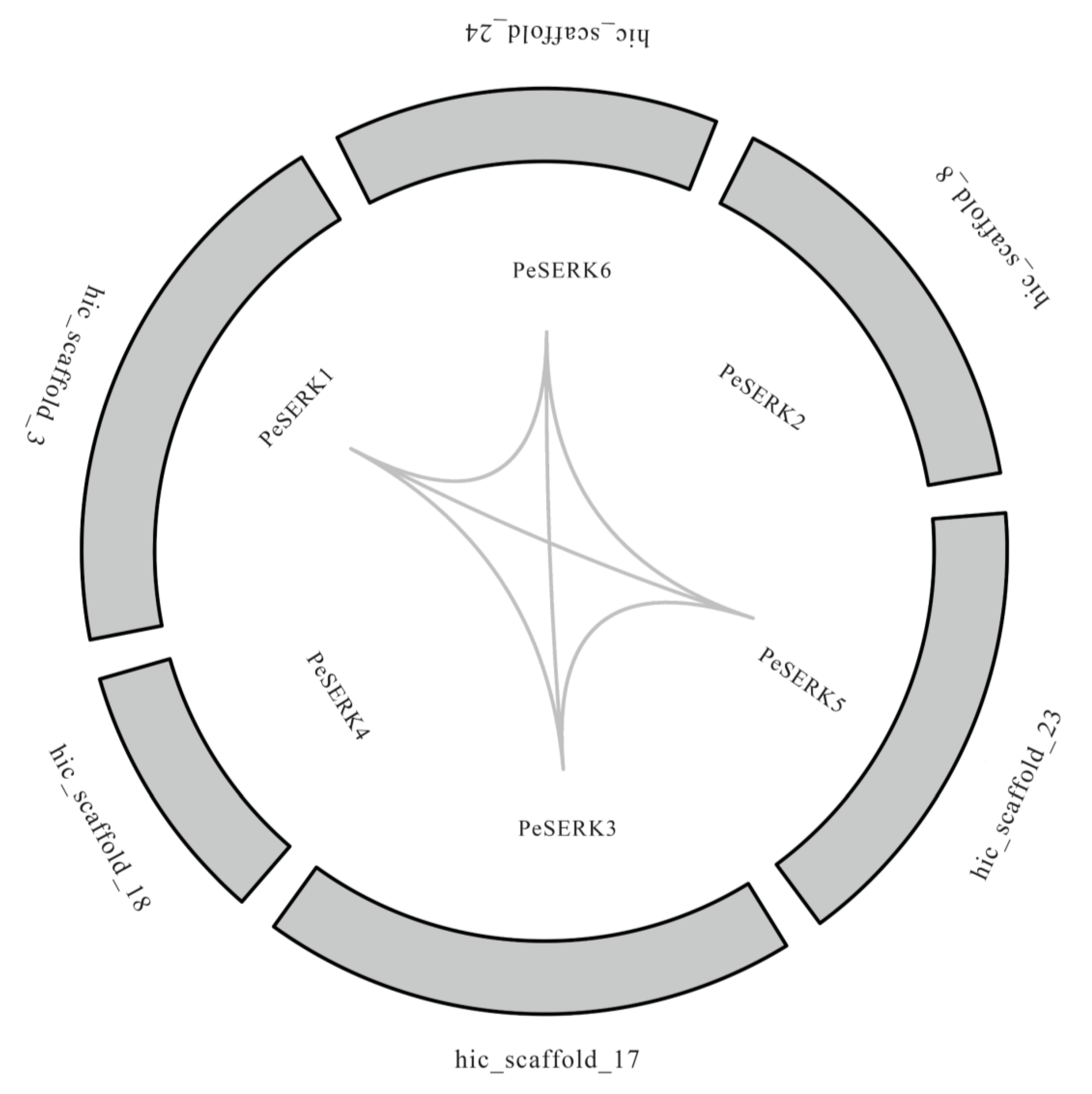 Forests 14 00540 g004