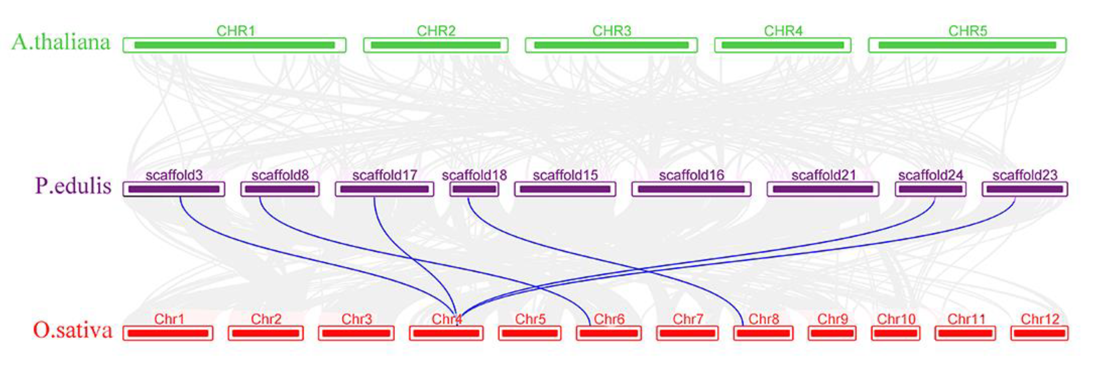 Forests 14 00540 g005
