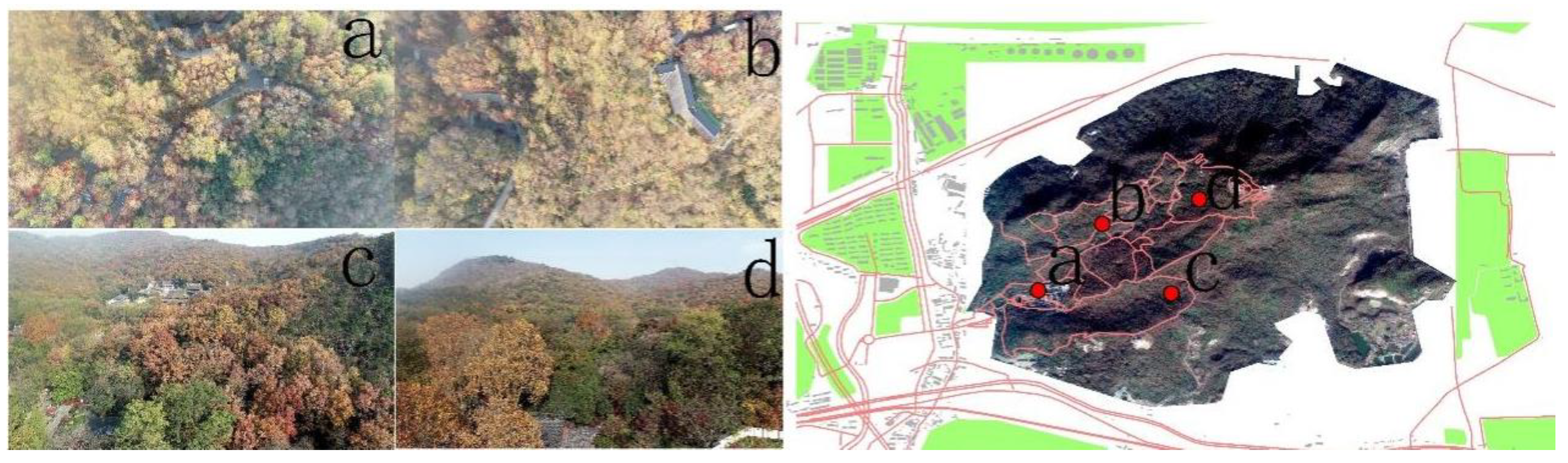 Forests 14 00542 g005