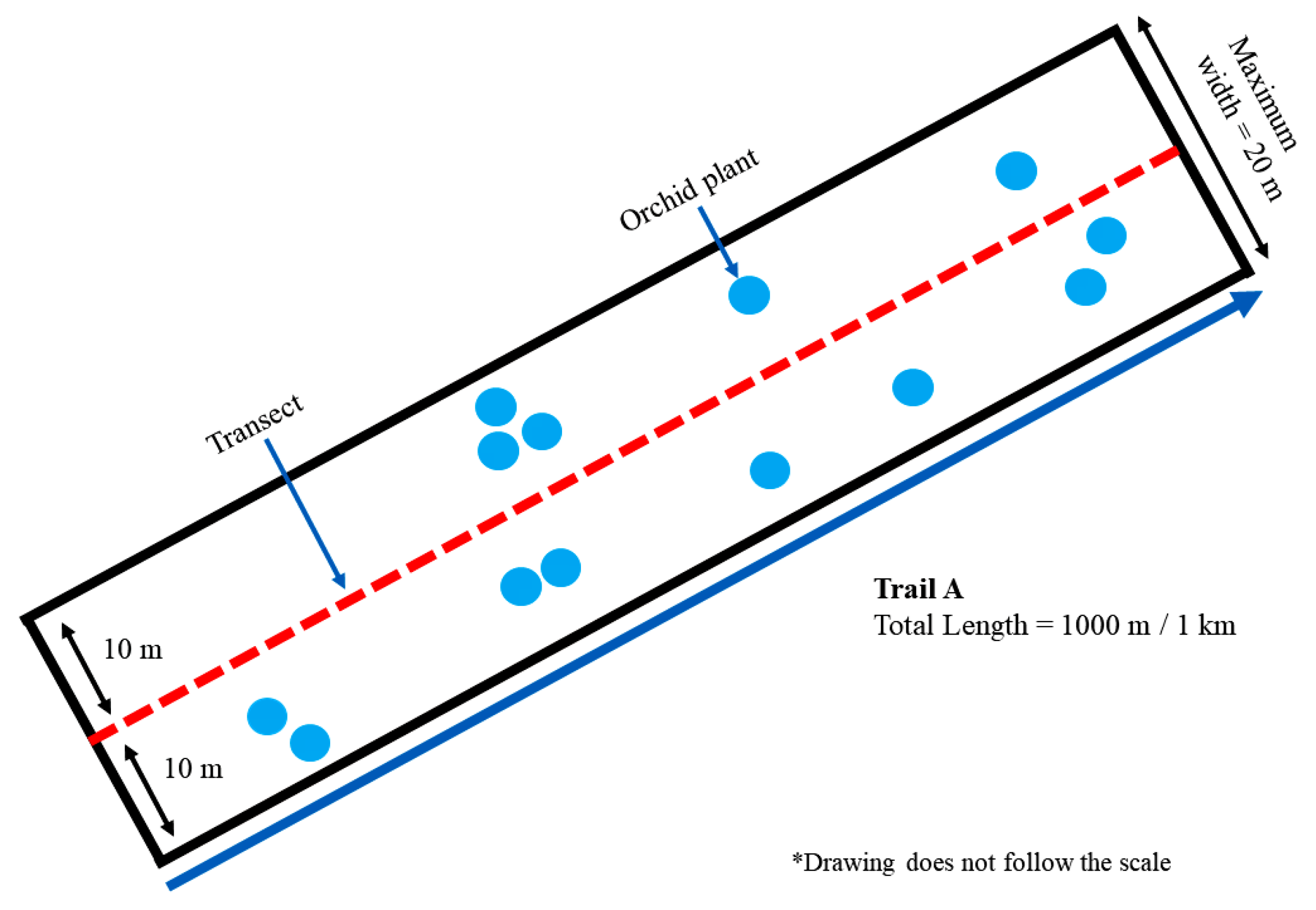 Forests 14 00544 g002 Forests 14 00544 g002