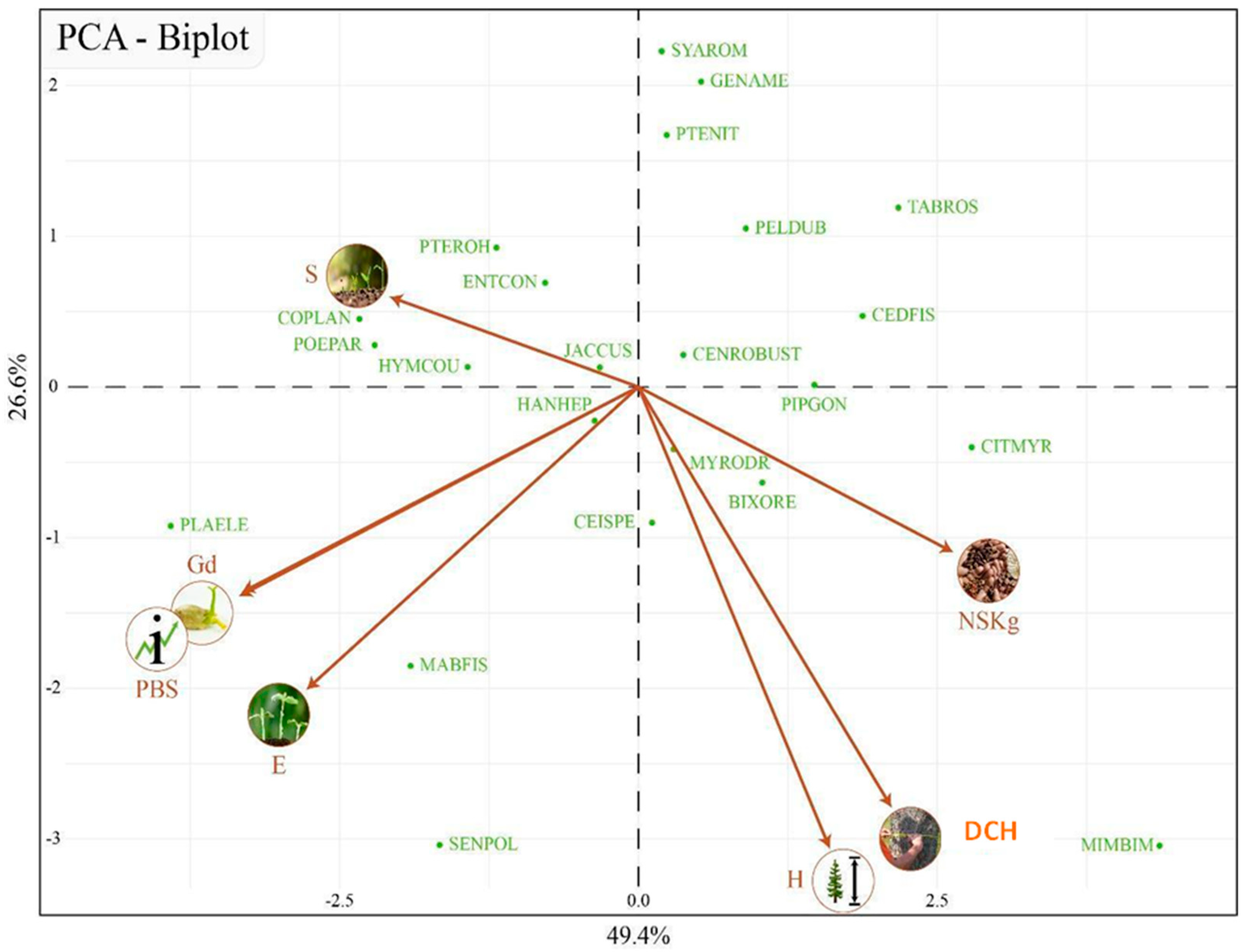 Forests 14 00547 g004